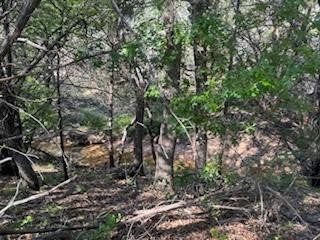 1018 Creek Crossing Road Glen Rose TX 76070