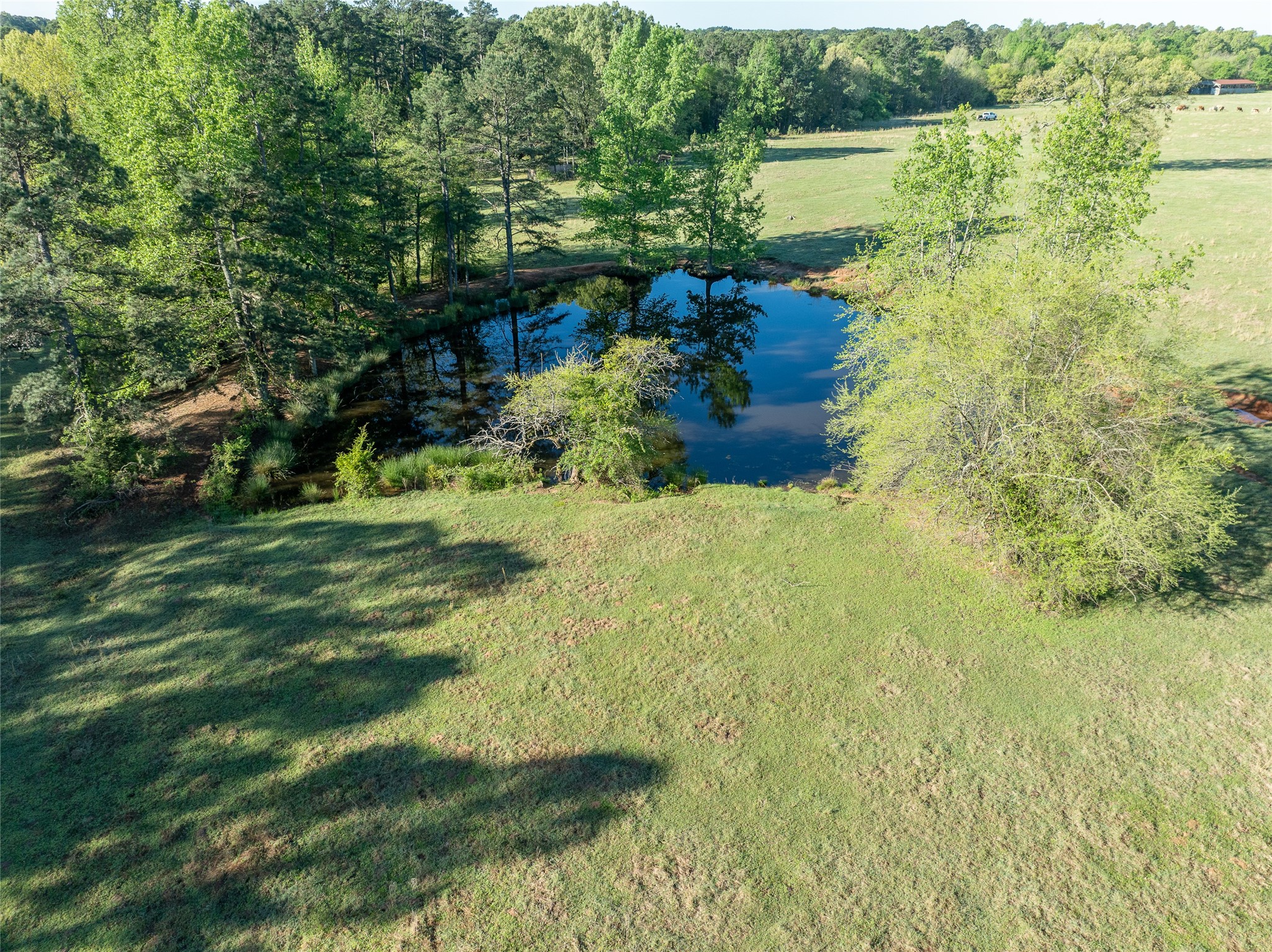 Tbd State Highway 147 Sawyer OK 74756