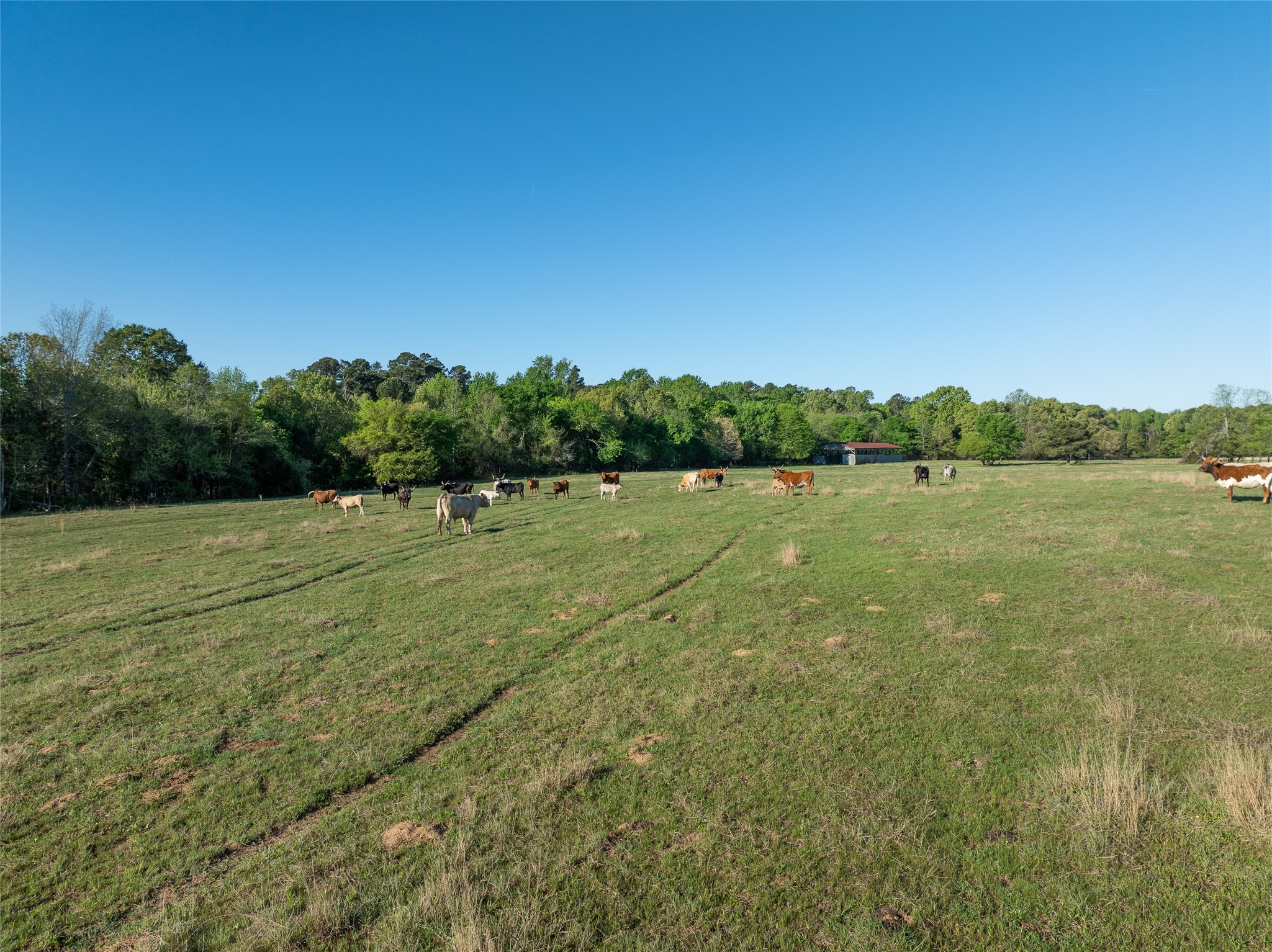 Tbd State Highway 147 Sawyer OK 74756