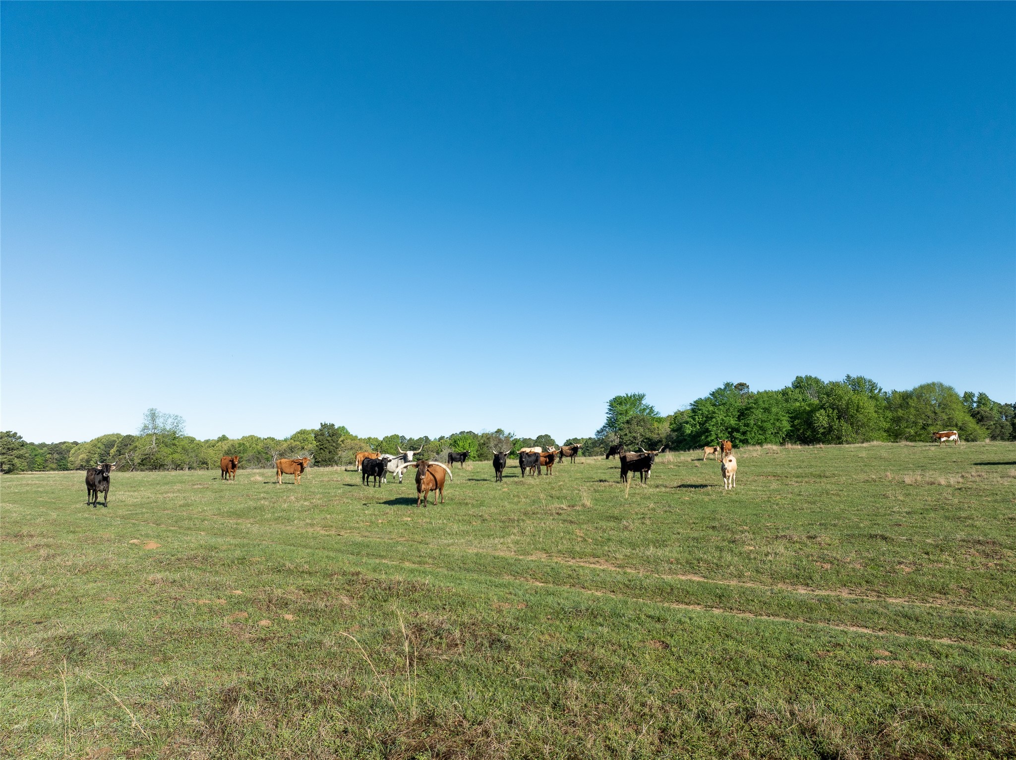 Tbd State Highway 147 Sawyer OK 74756