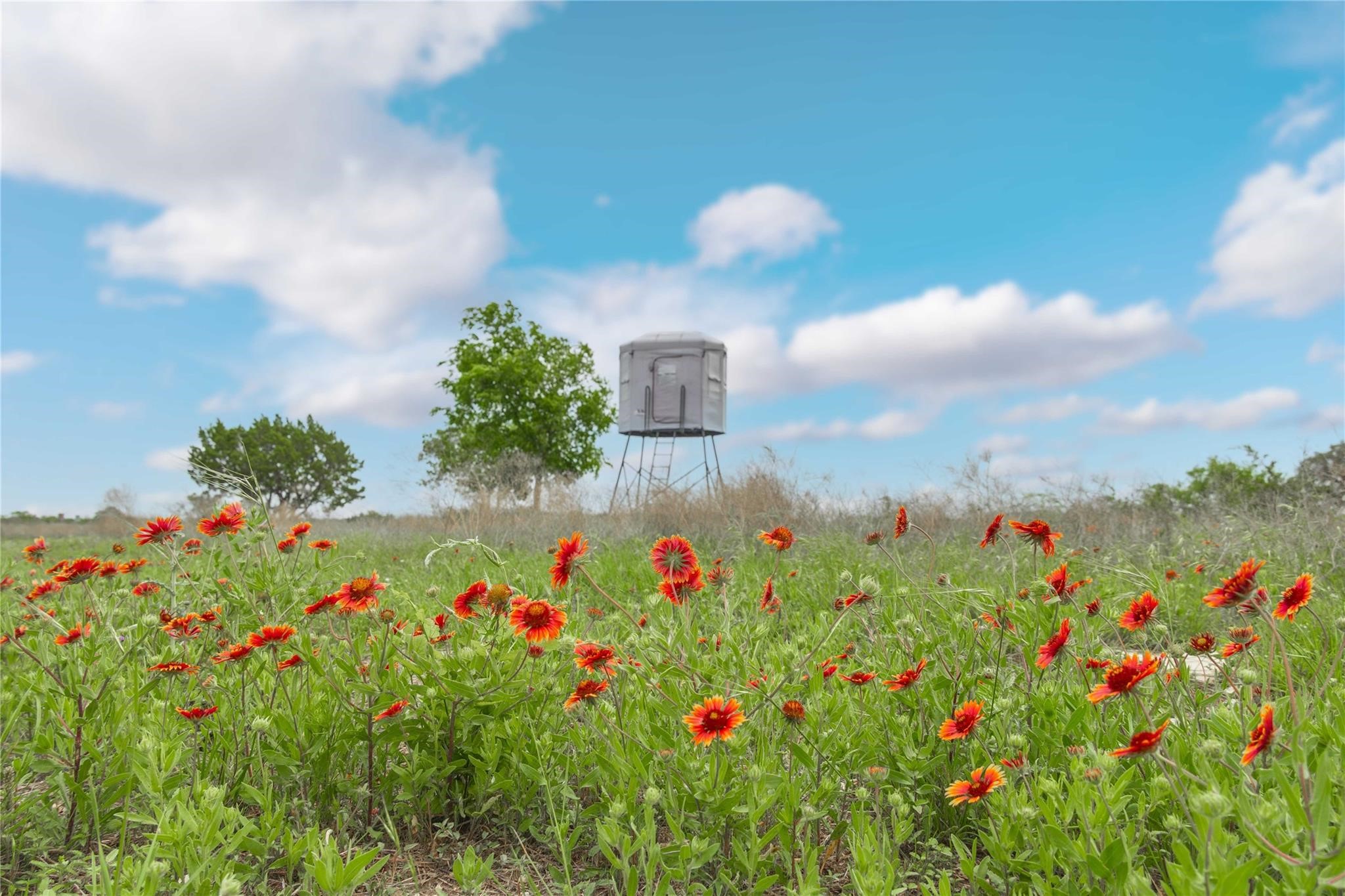 Lot 29 & 30 Comanche Hills Drive Comanche TX 76442