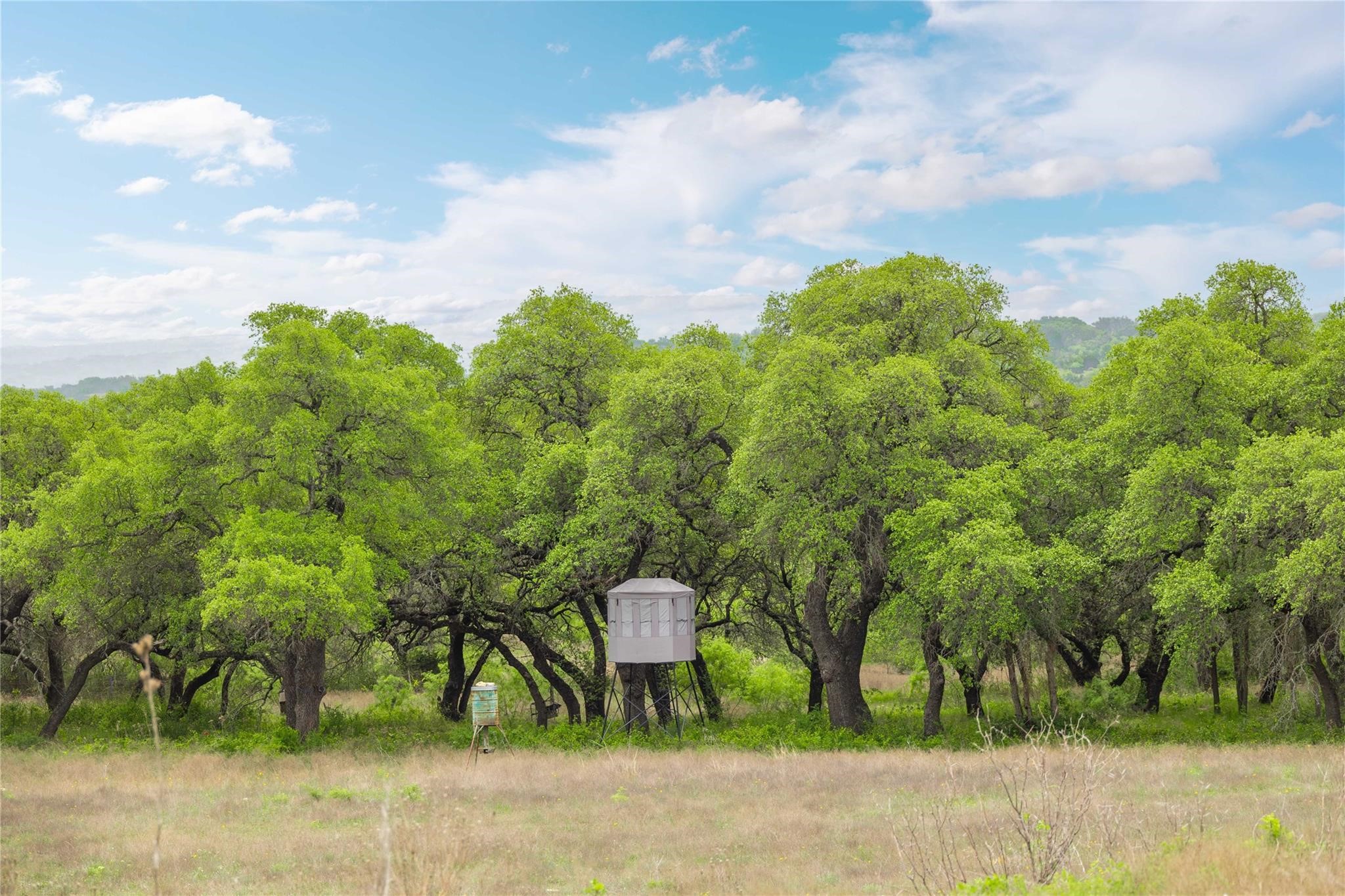 Lot 29 & 30 Comanche Hills Drive Comanche TX 76442