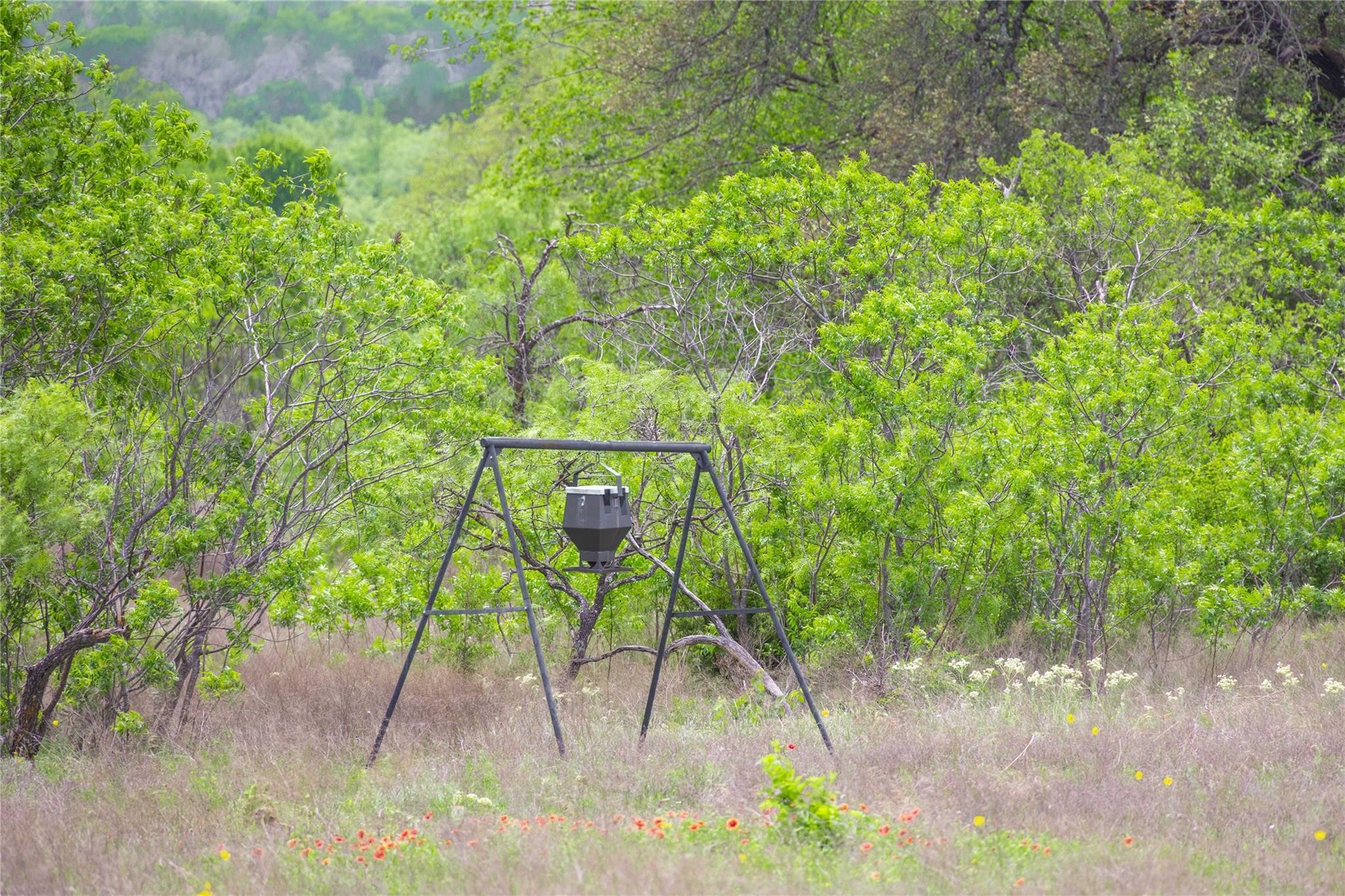 Lot 29 & 30 Comanche Hills Drive Comanche TX 76442