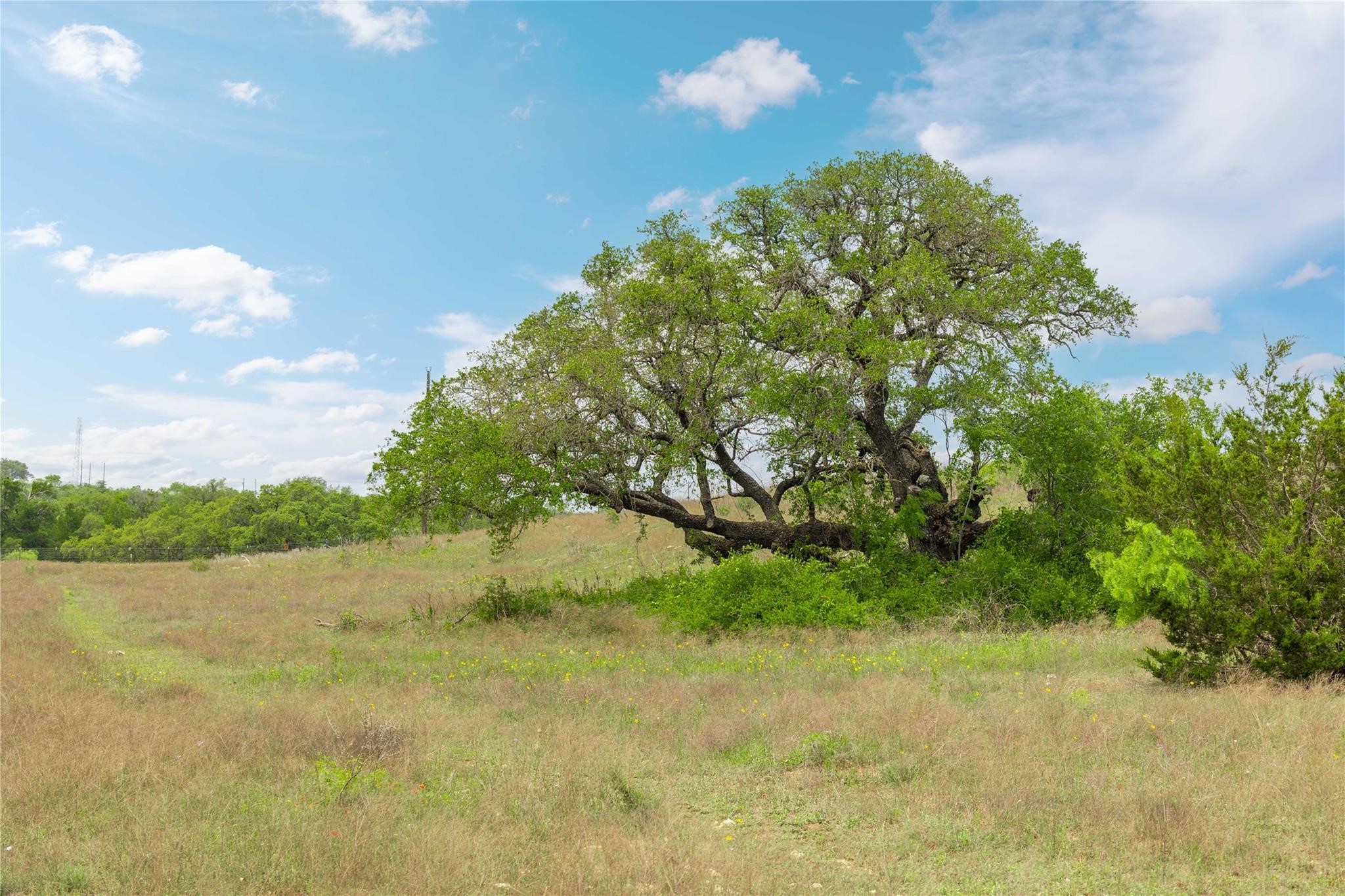 Lot 29 & 30 Comanche Hills Drive Comanche TX 76442