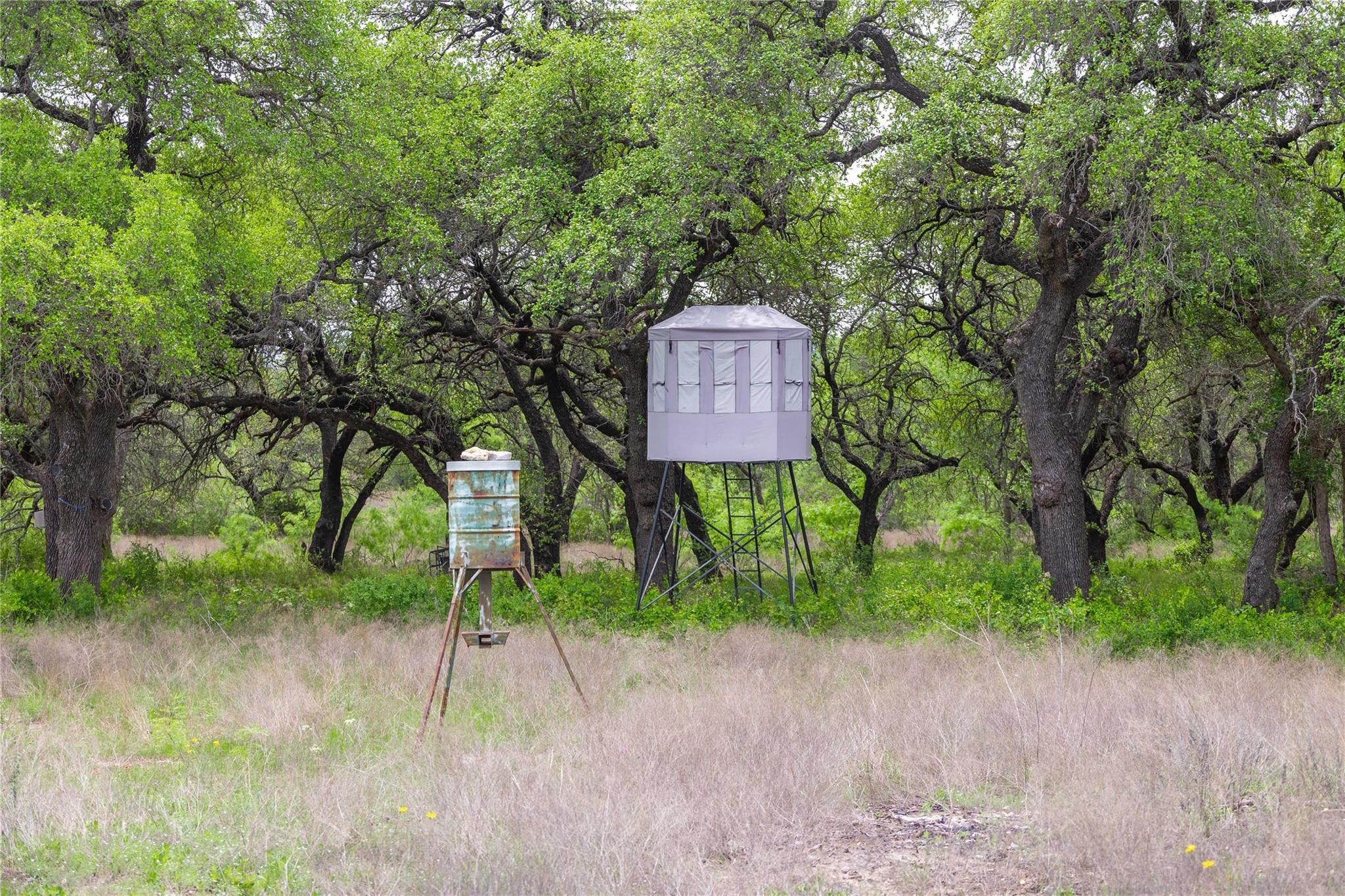 Lot 29 & 30 Comanche Hills Drive Comanche TX 76442