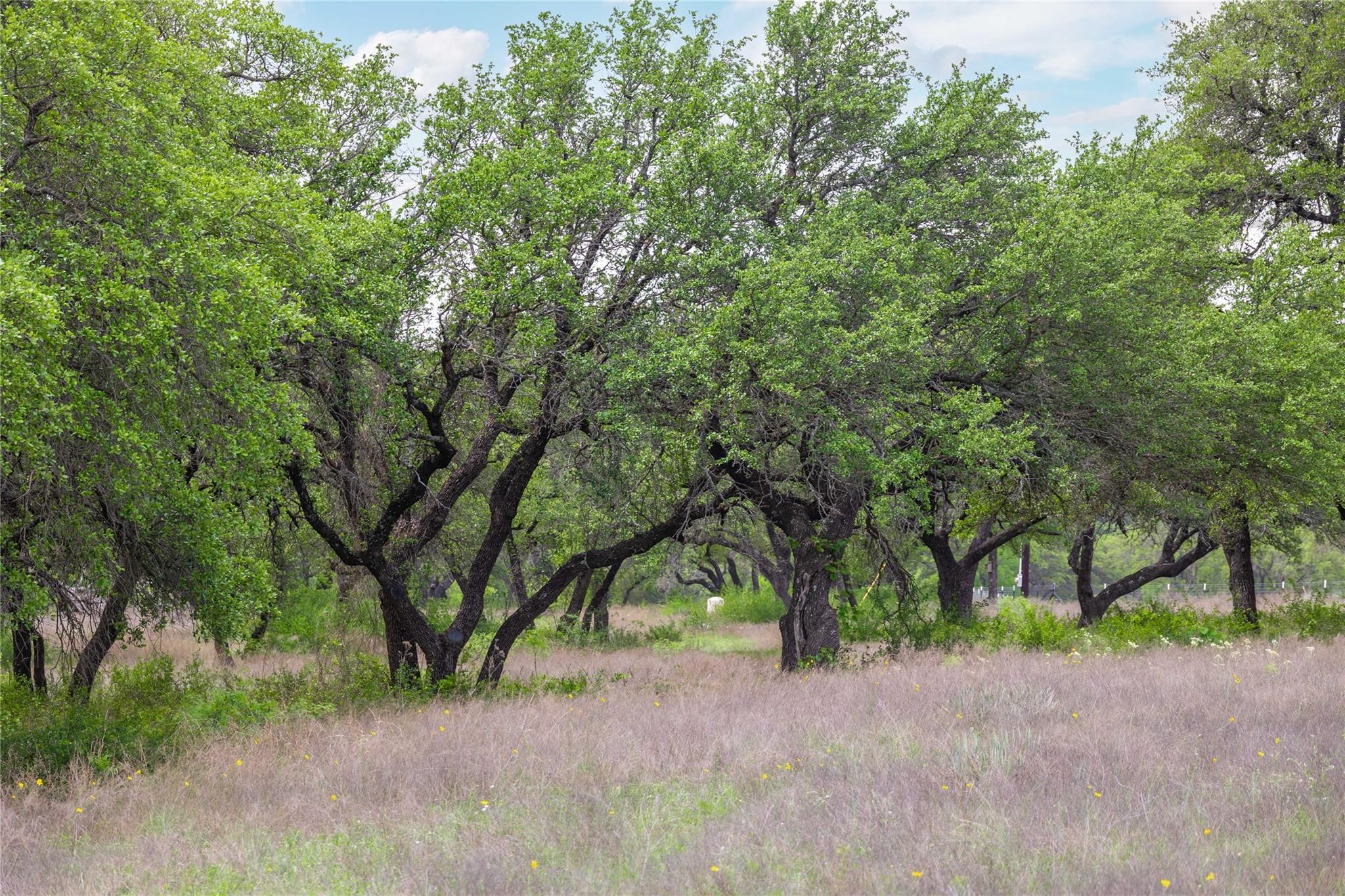 Lot 29 & 30 Comanche Hills Drive Comanche TX 76442