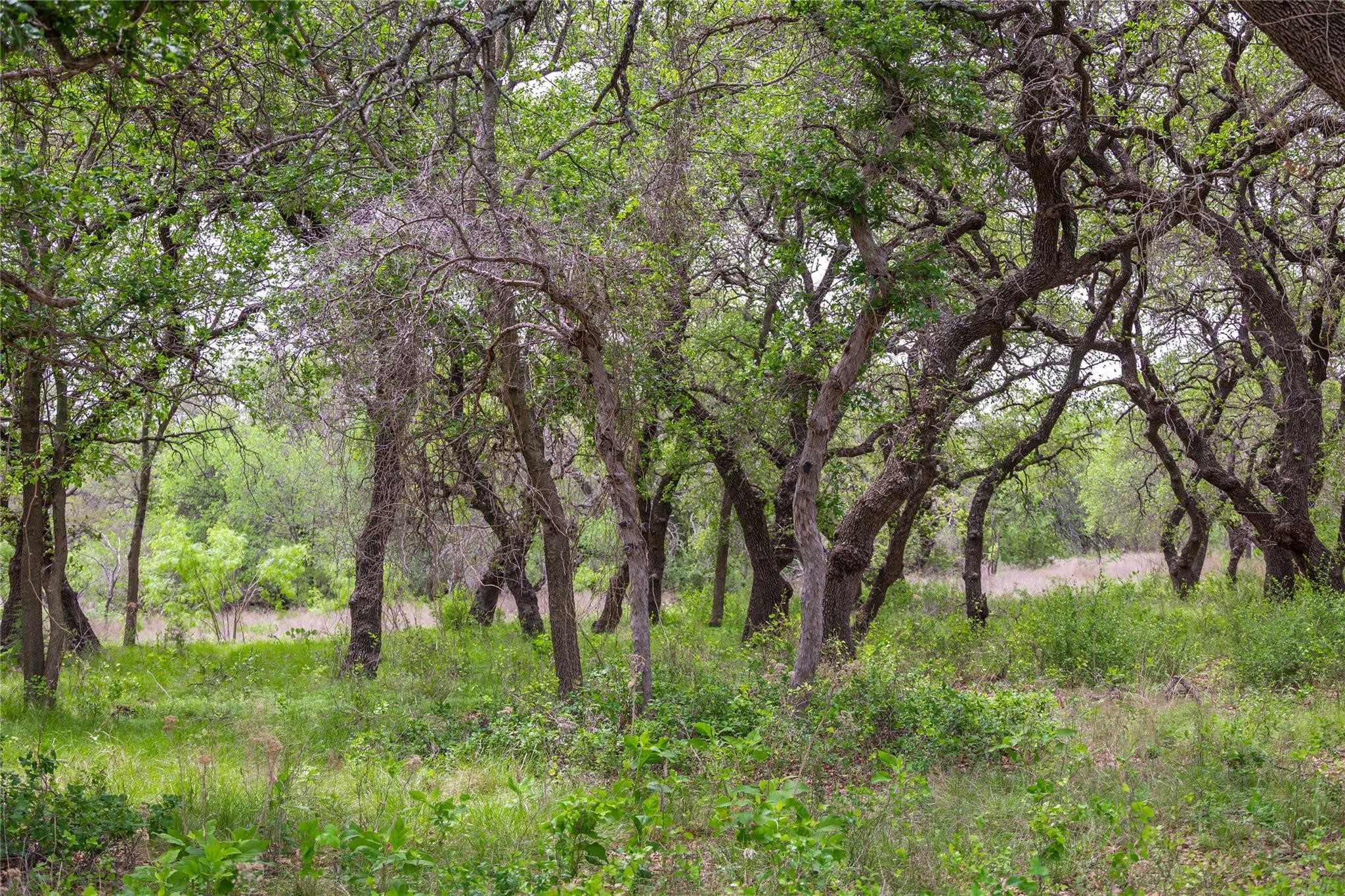 Lot 29 & 30 Comanche Hills Drive Comanche TX 76442