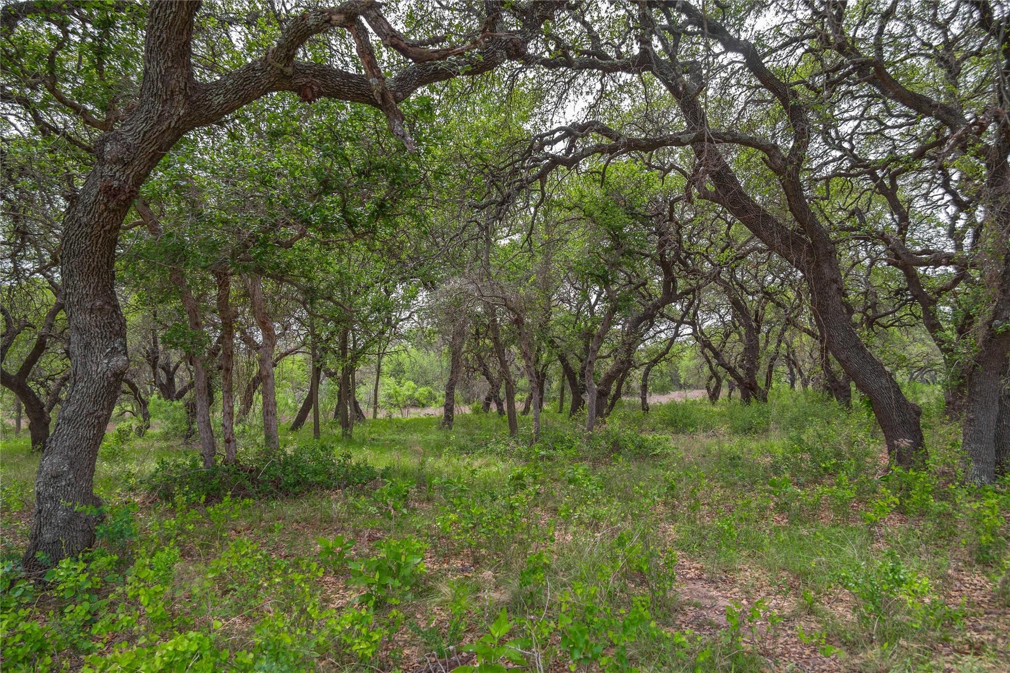 Lot 29 & 30 Comanche Hills Drive Comanche TX 76442