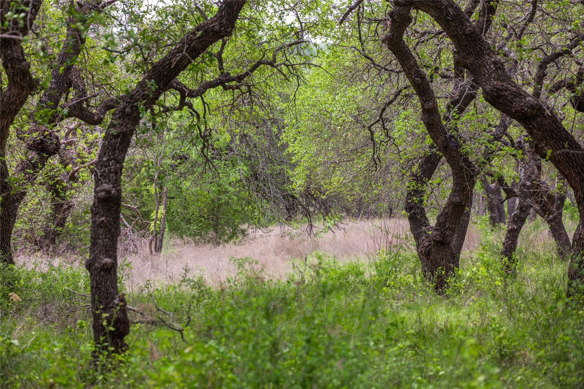 Lot 29 & 30 Comanche Hills Drive Comanche TX 76442