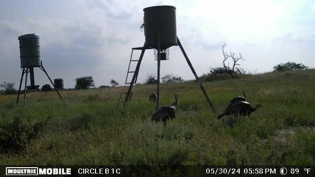 Lot 29 & 30 Comanche Hills Drive Comanche TX 76442