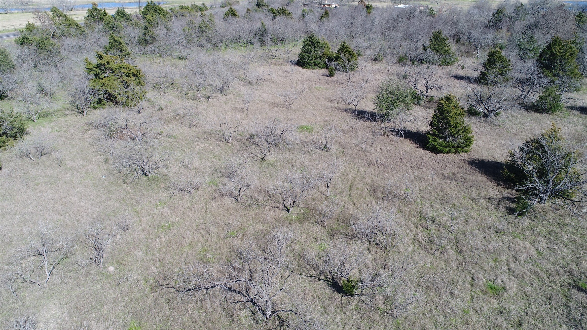 18.58 Acres Highway 287 Mildred TX 75109