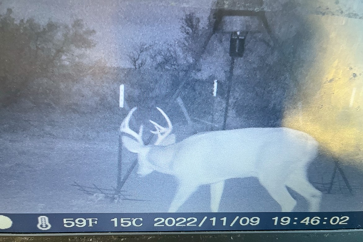 Tbd Fm 1168 Paducah TX 79248