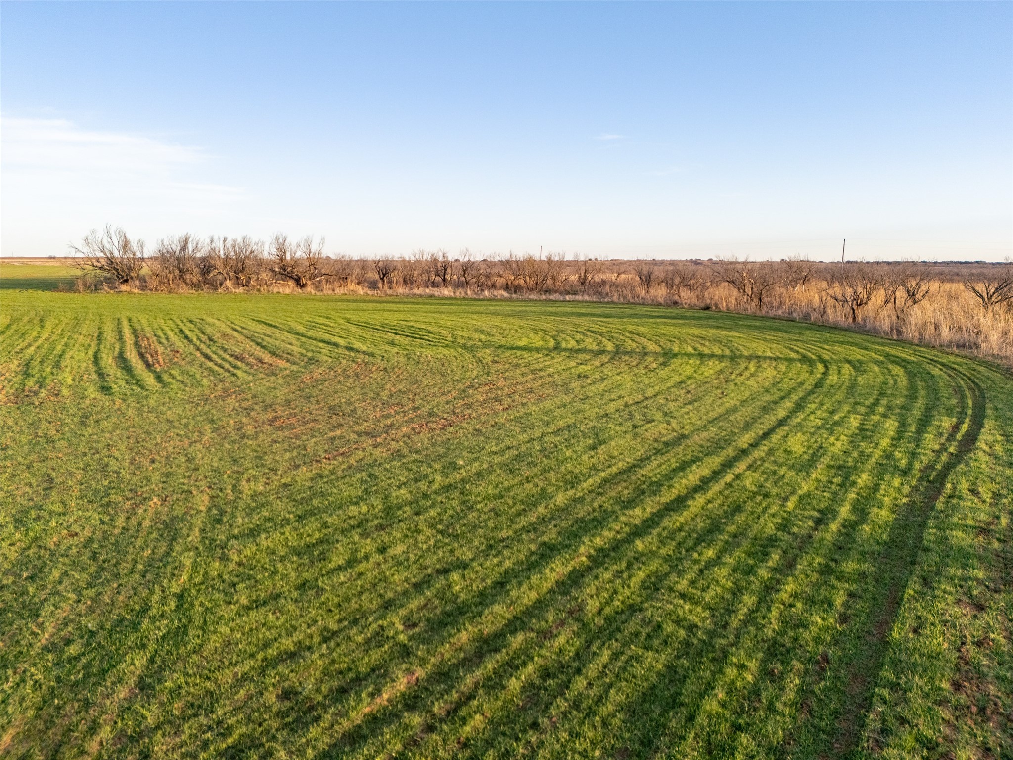 1299 Dunn Road Olney TX 76374