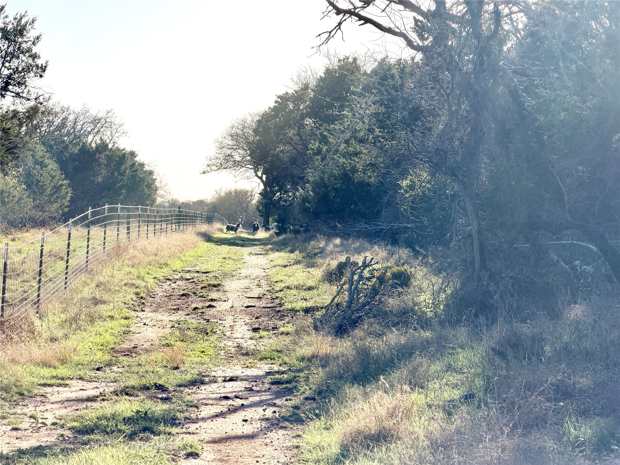 65 Cr 406 Goldthwaite TX 76844