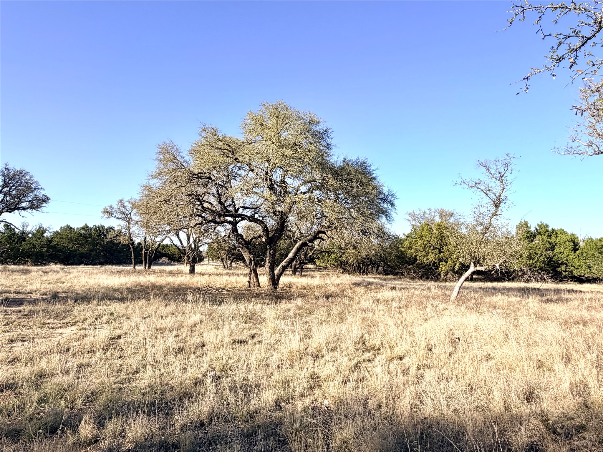 65 Cr 406 Goldthwaite TX 76844