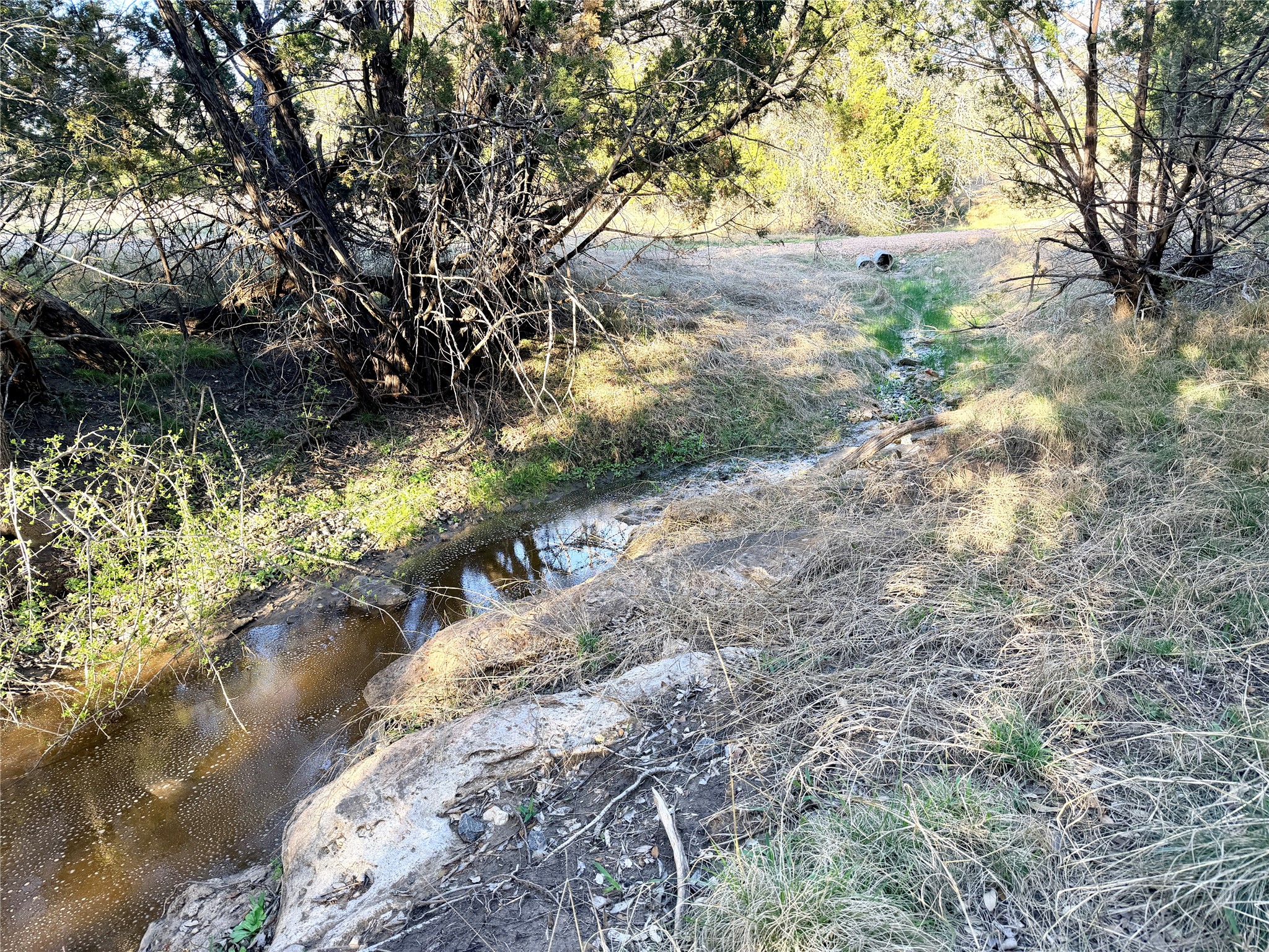 65 Cr 406 Goldthwaite TX 76844