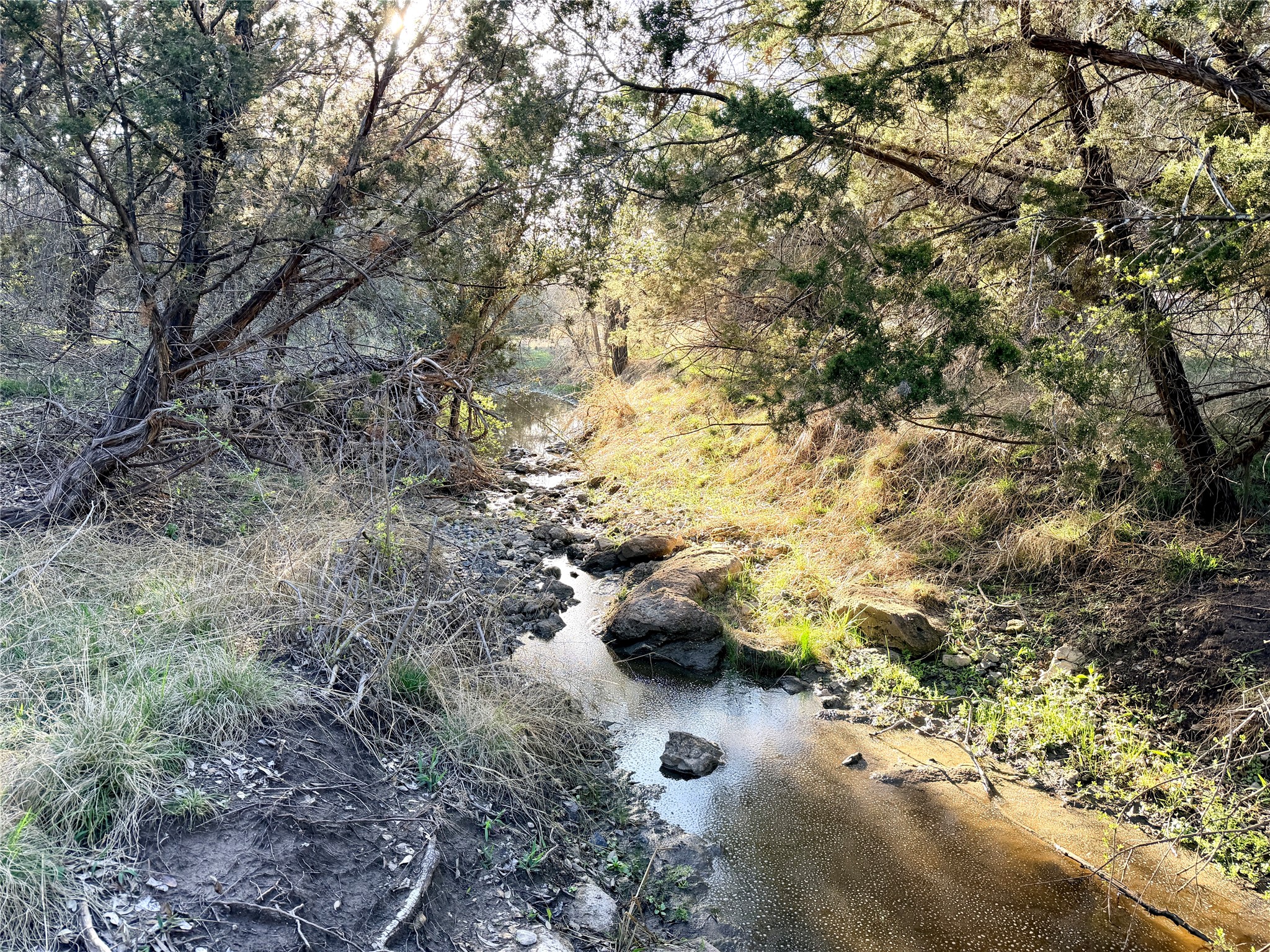 65 Cr 406 Goldthwaite TX 76844