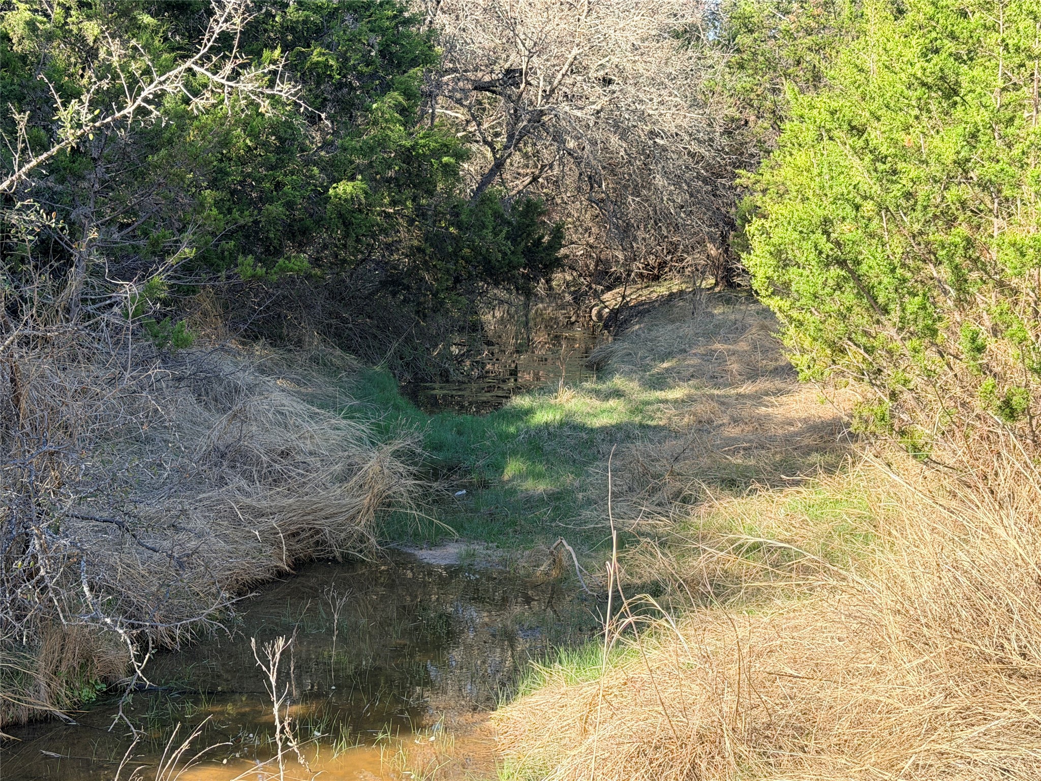65 Cr 406 Goldthwaite TX 76844