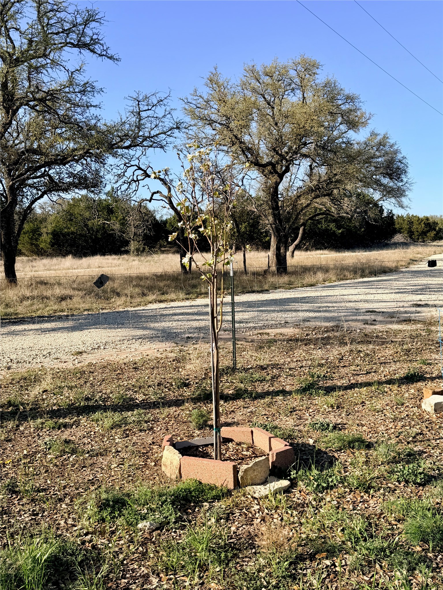 65 Cr 406 Goldthwaite TX 76844