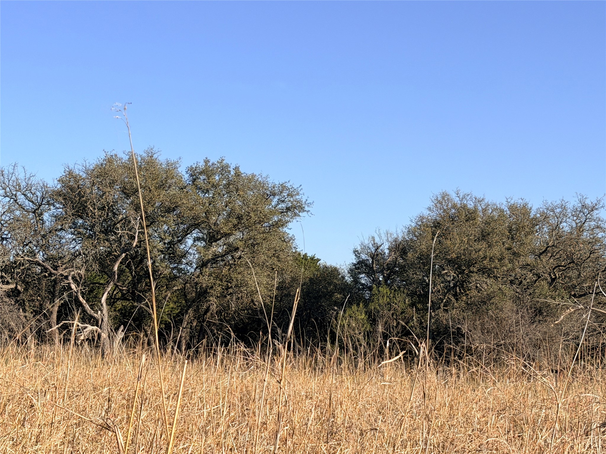 65 Cr 406 Goldthwaite TX 76844