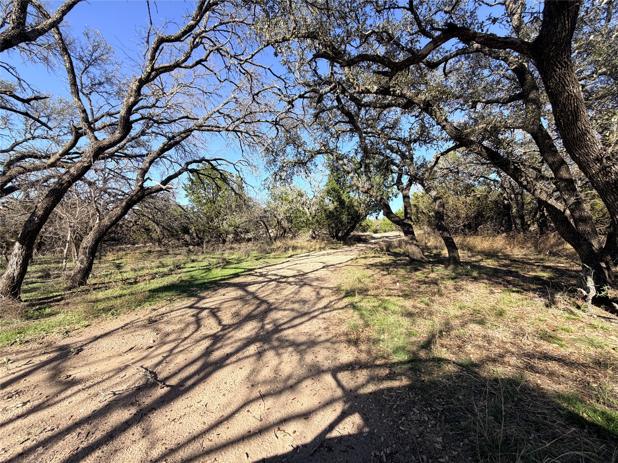 65 Cr 406 Goldthwaite TX 76844