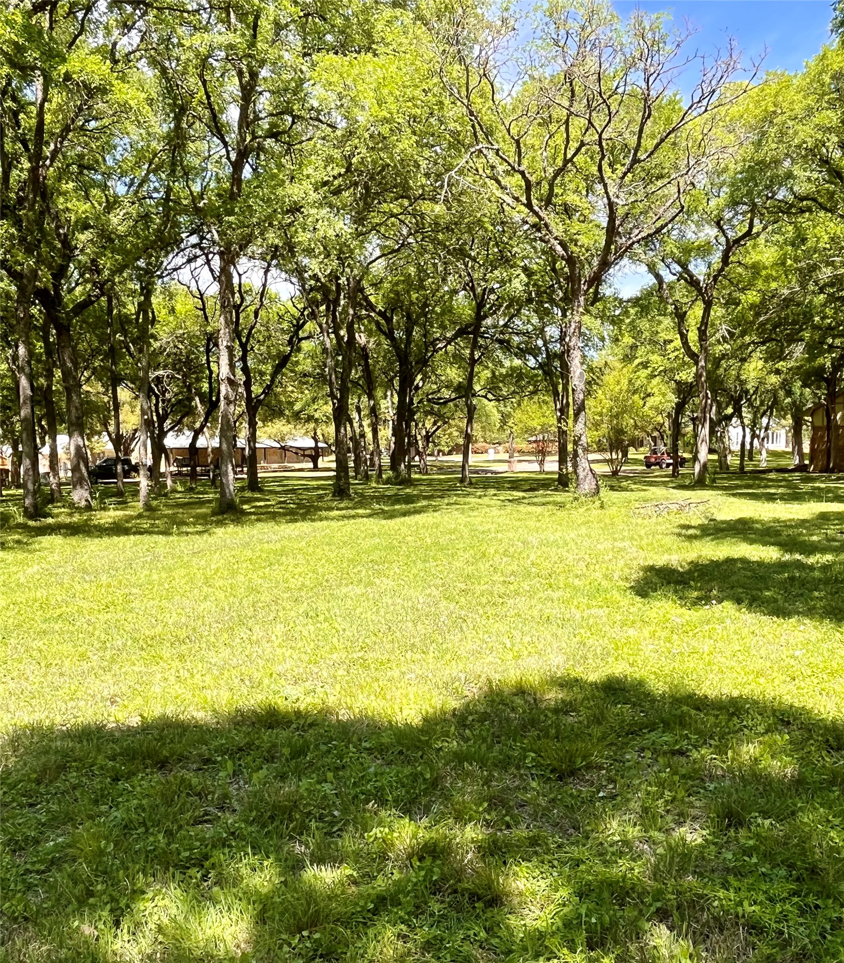 223 Oak Creek Circle Mcgregor TX 76657