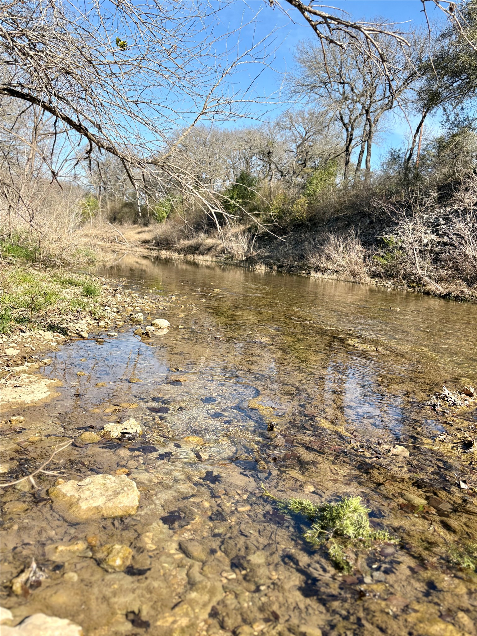 223 Oak Creek Circle Mcgregor TX 76657