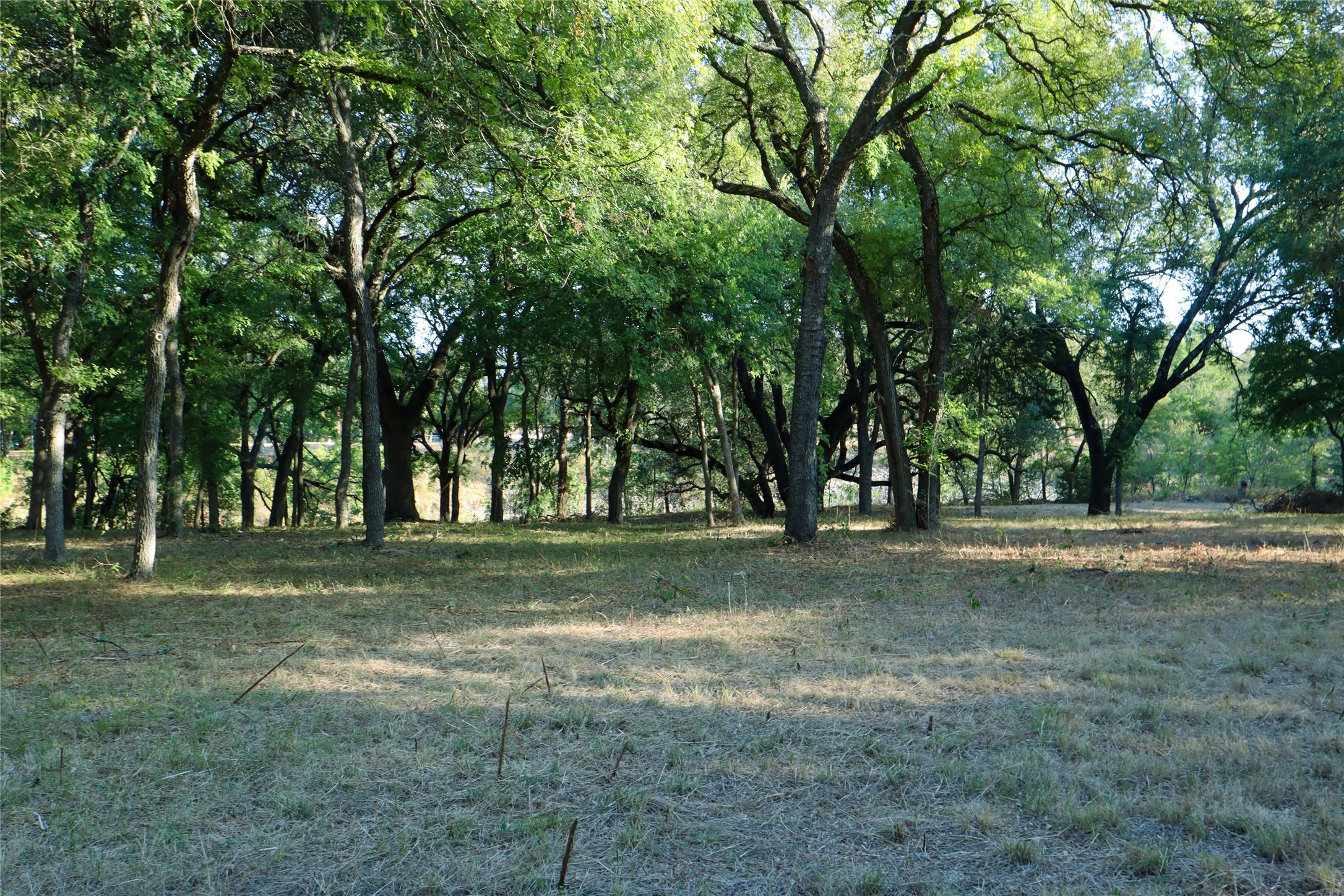 223 Oak Creek Circle Mcgregor TX 76657