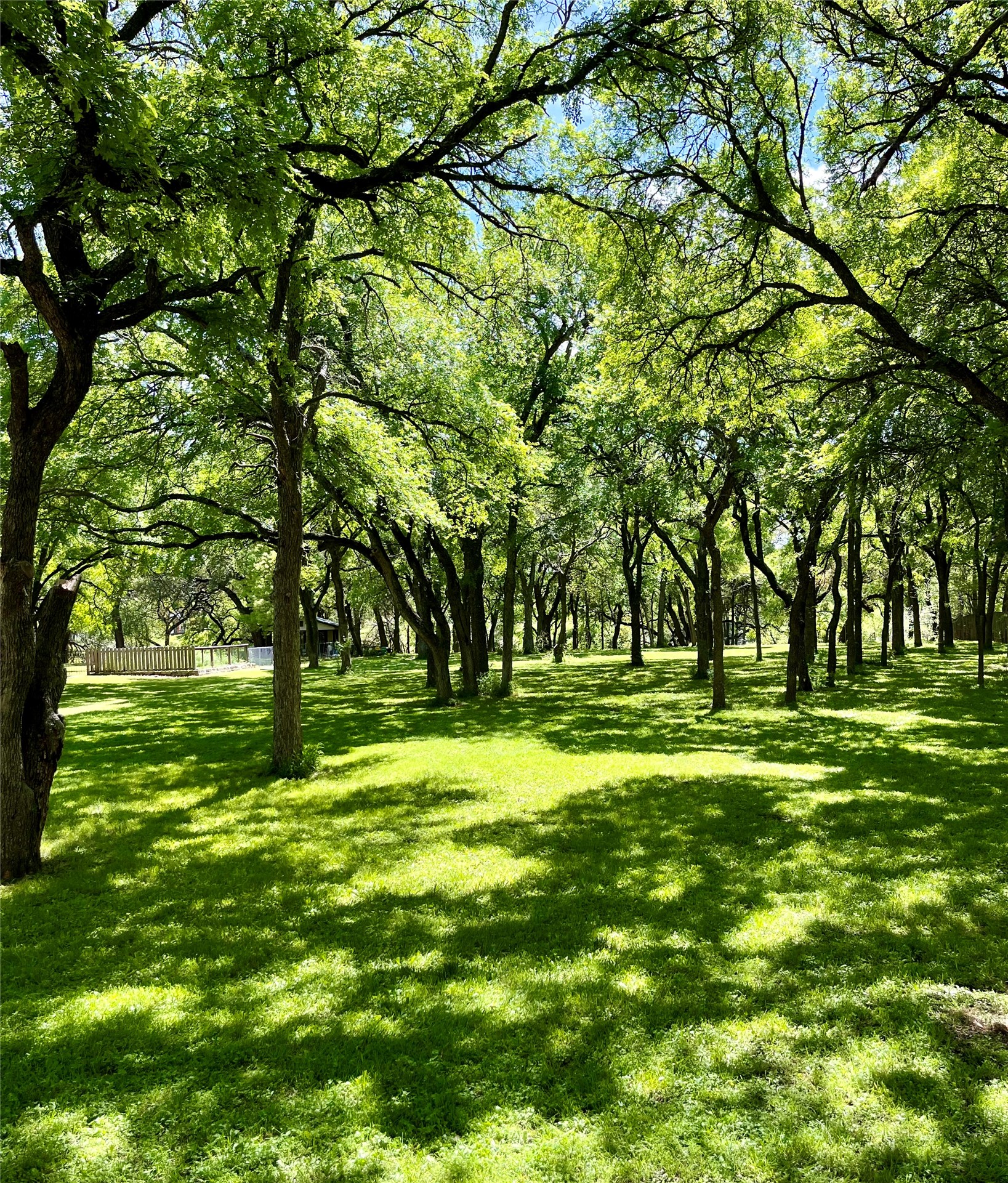223 Oak Creek Circle Mcgregor TX 76657