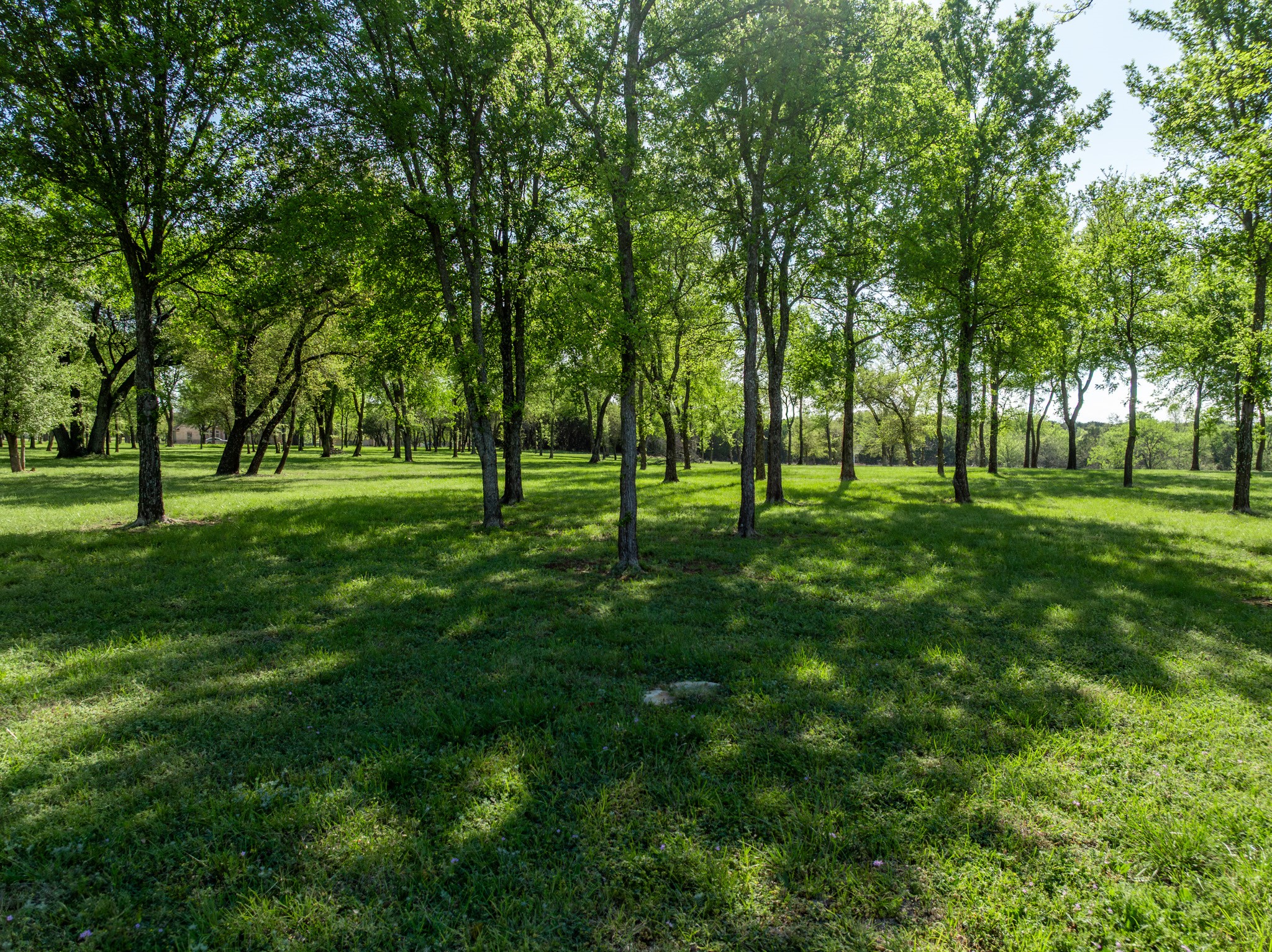 1628 White Bluff Drive Whitney TX 76692