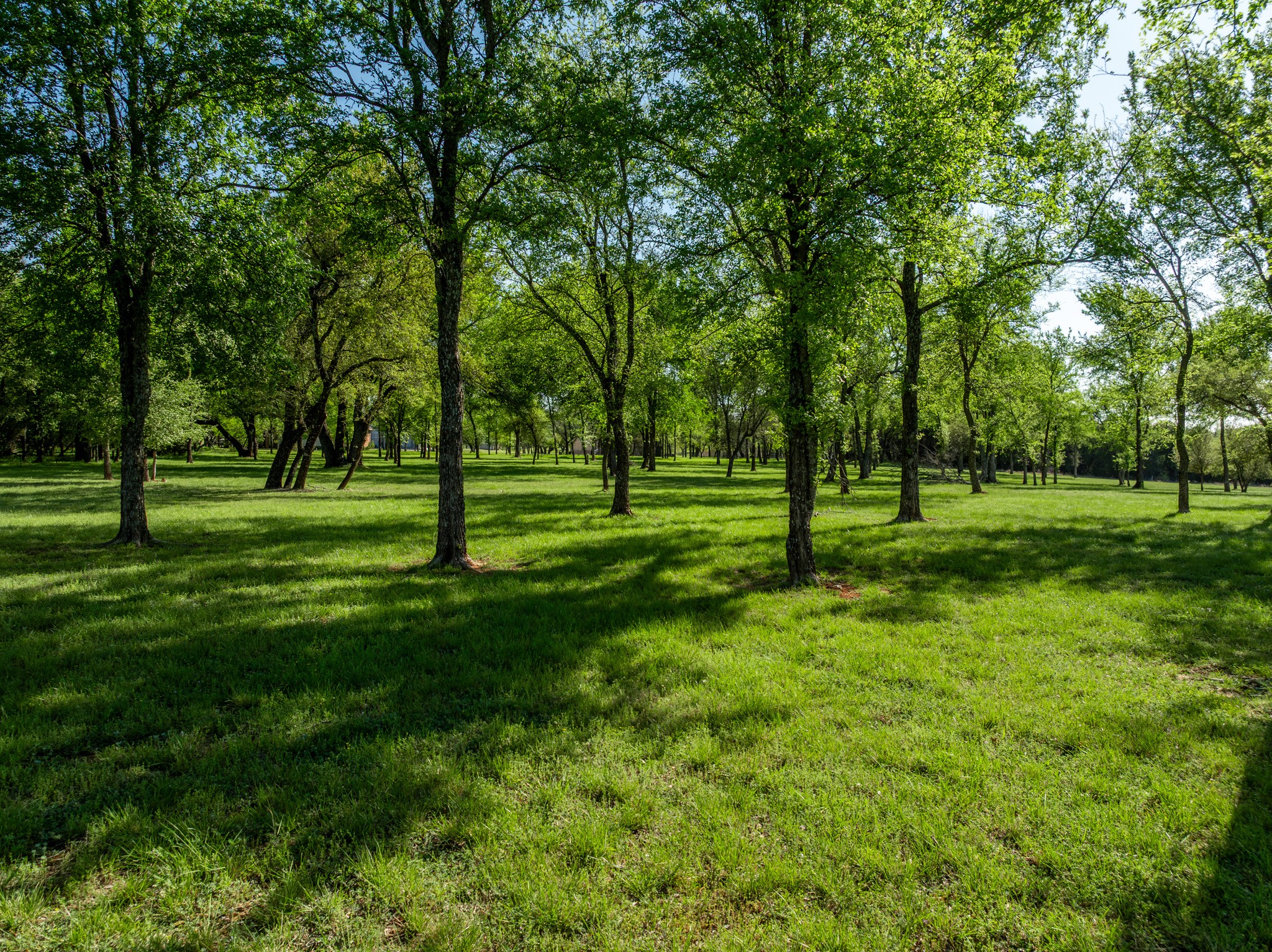 1628 White Bluff Drive Whitney TX 76692