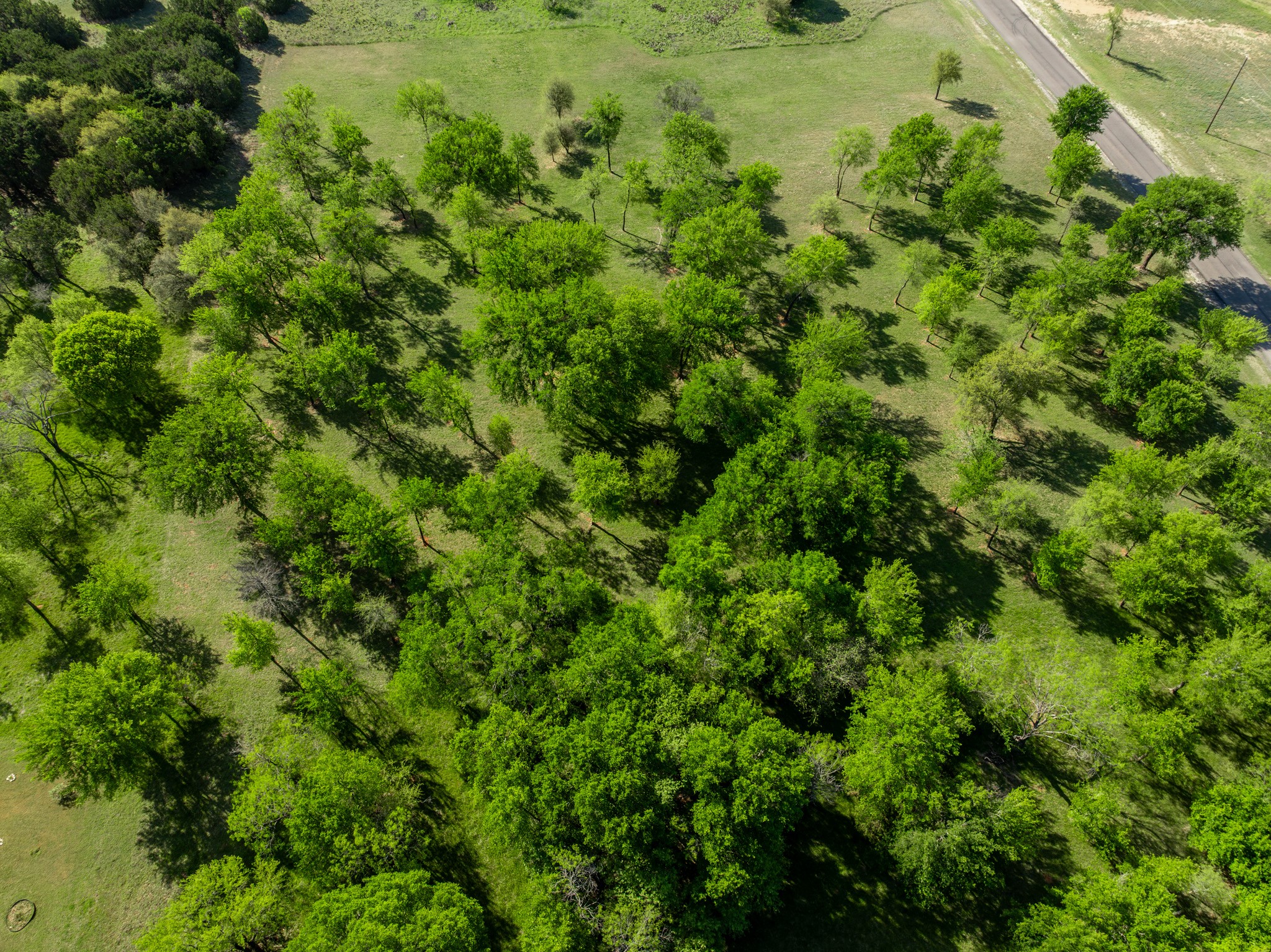 1628 White Bluff Drive Whitney TX 76692