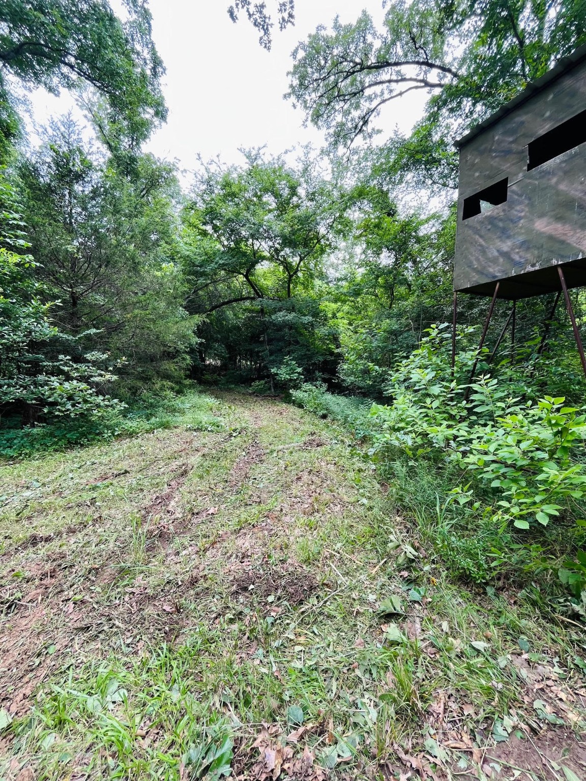 950 Vz County Road 1919 Fruitvale TX 75127
