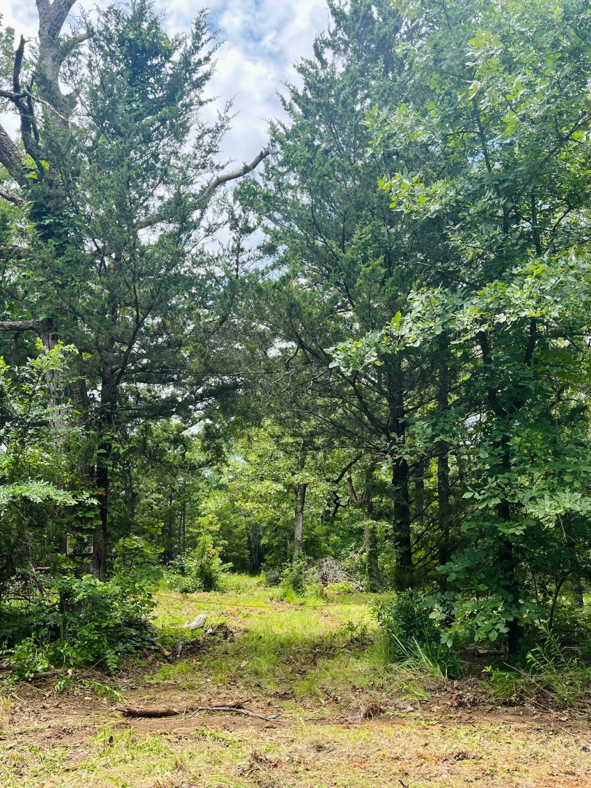 950 Vz County Road 1919 Fruitvale TX 75127