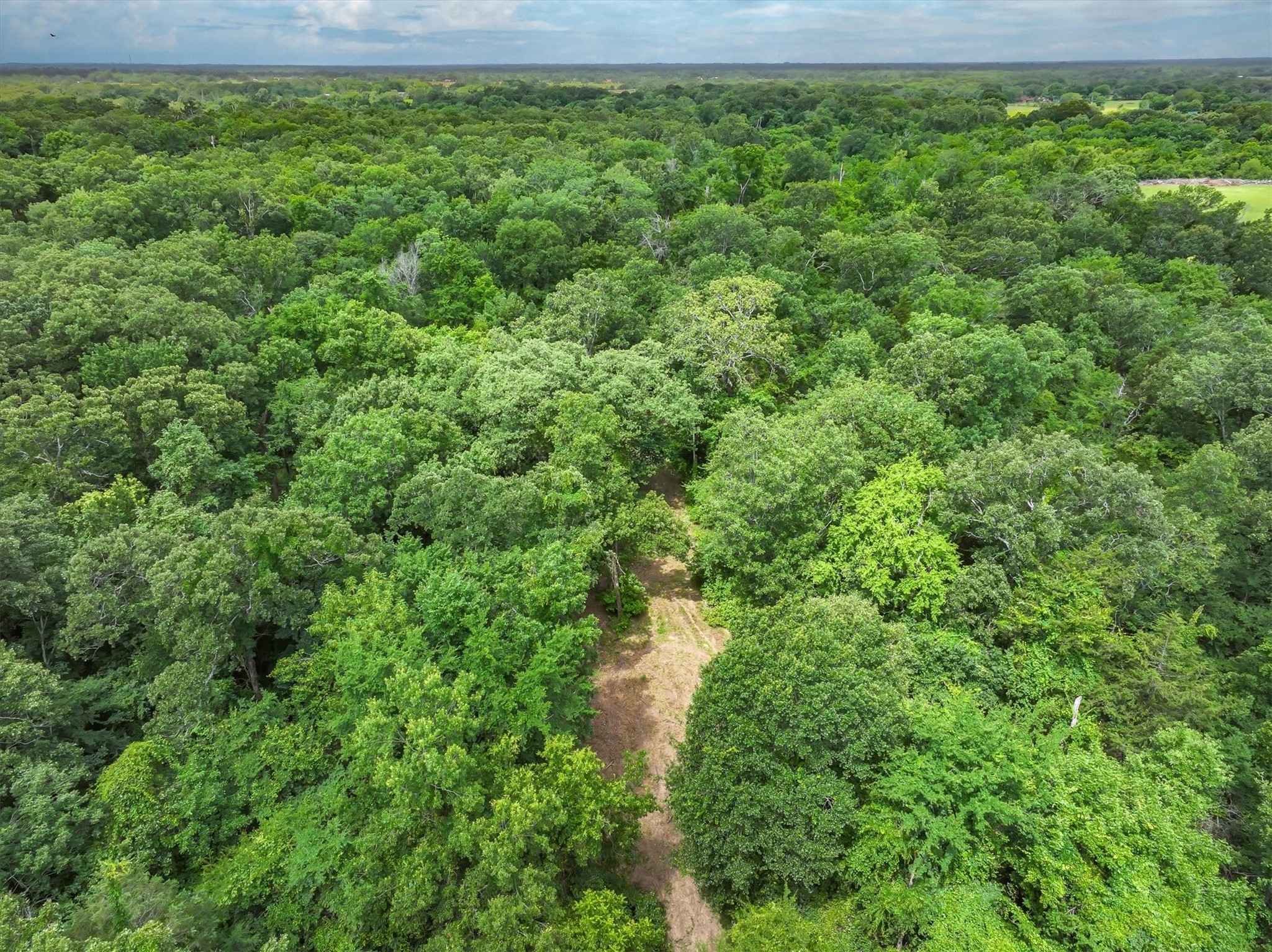 950 Vz County Road 1919 Fruitvale TX 75127