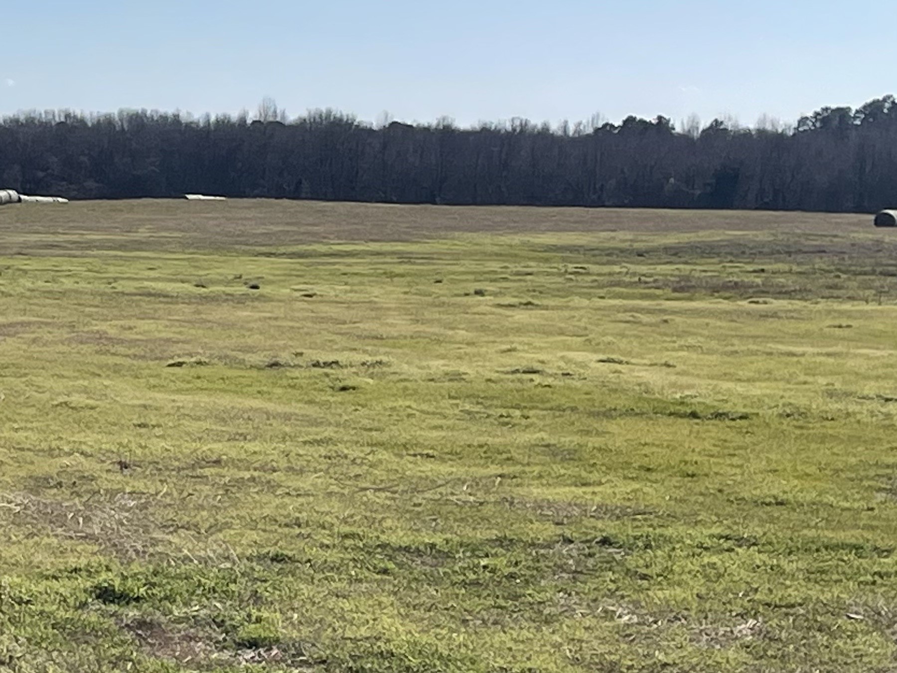 80AC Lot2 County Road 2376 Winnsboro TX 75494