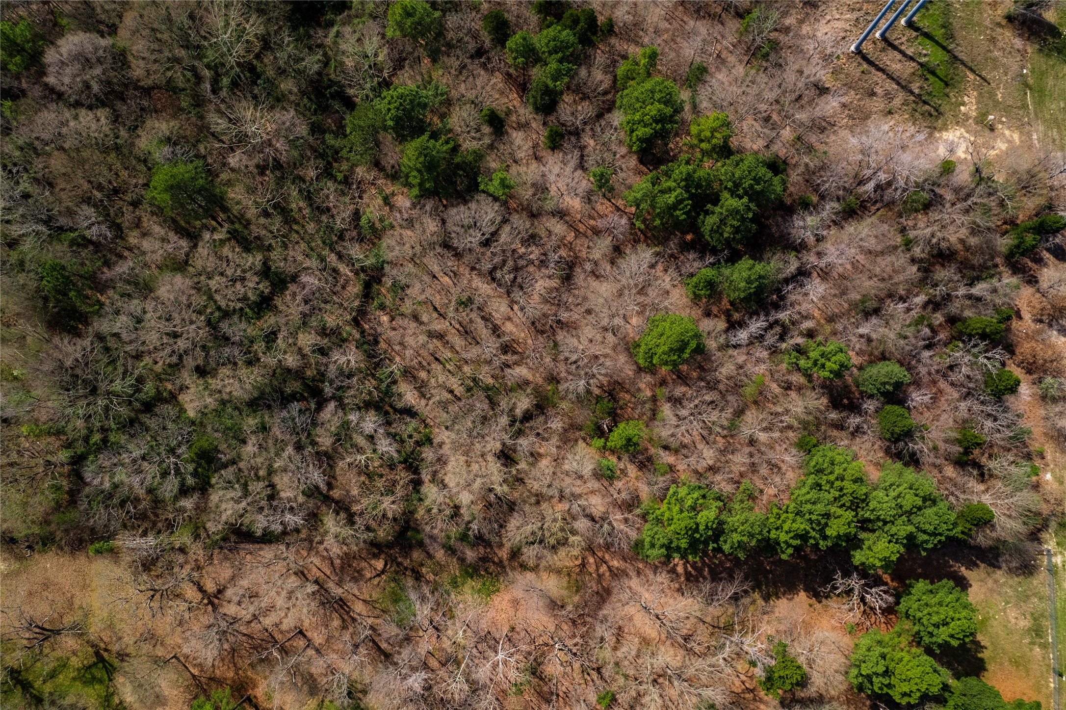 Tbd Sandbog Athens TX 75751