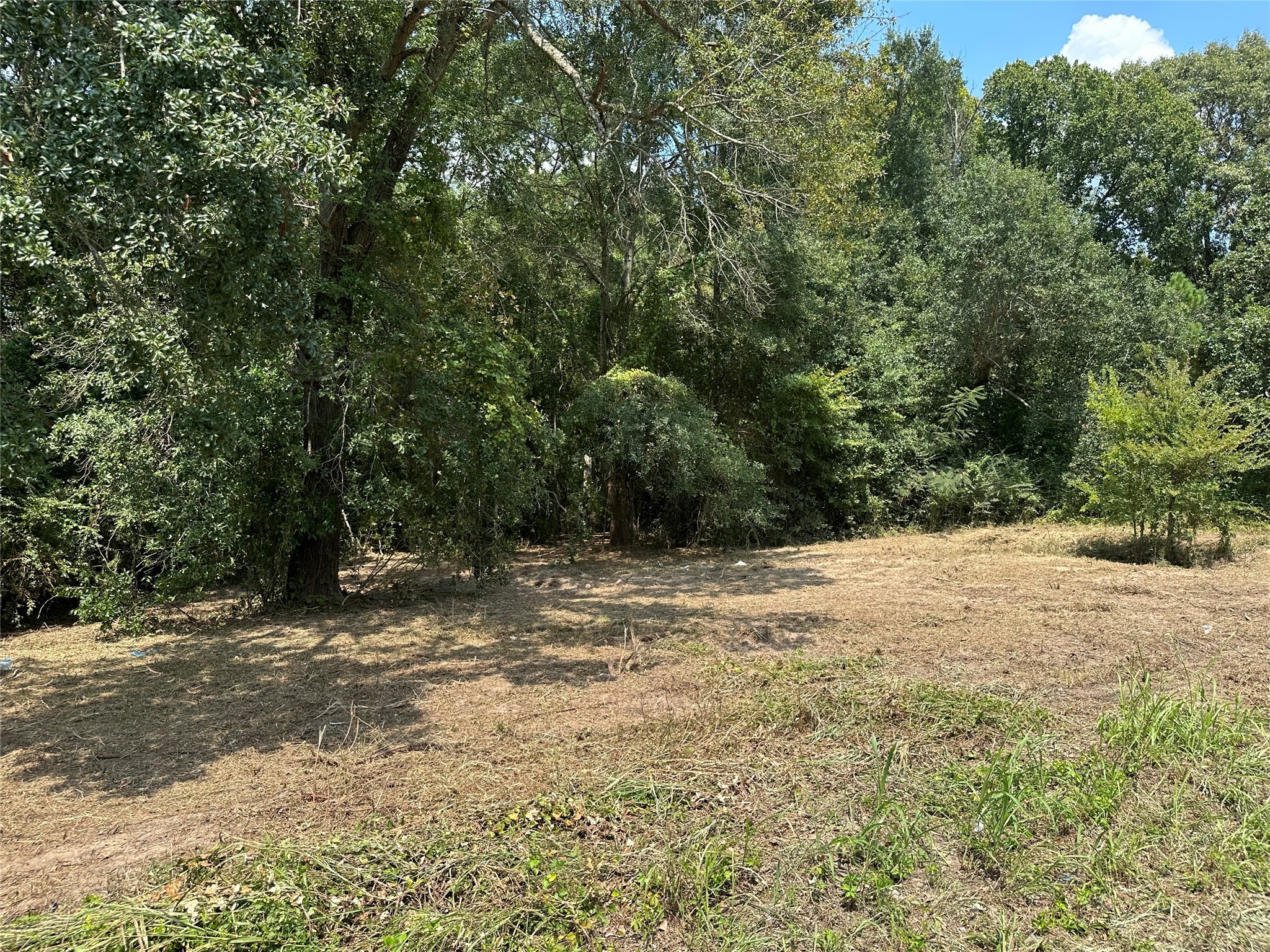 Tbd Sandbog Athens TX 75751