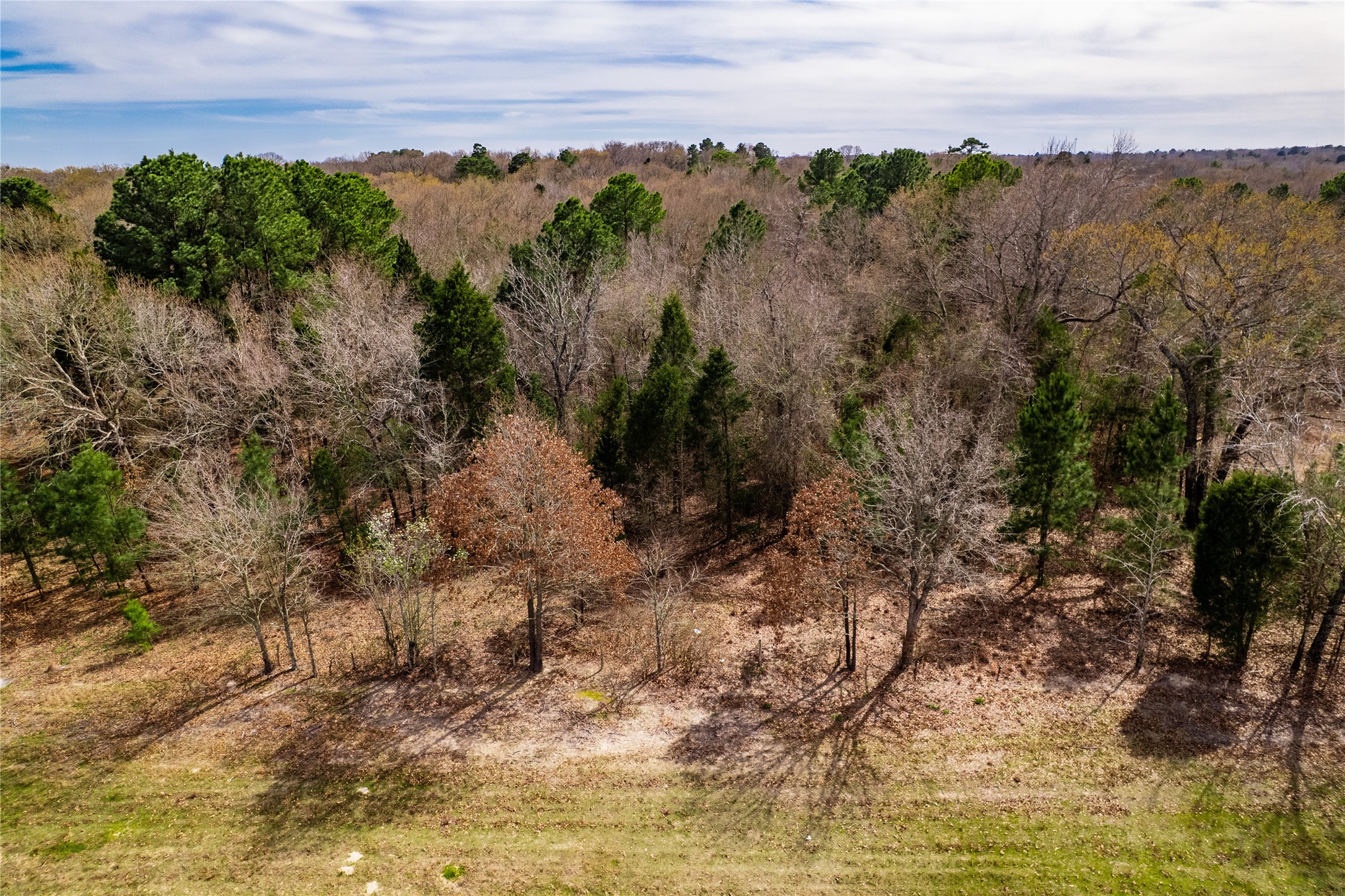 Tbd Sandbog Athens TX 75751