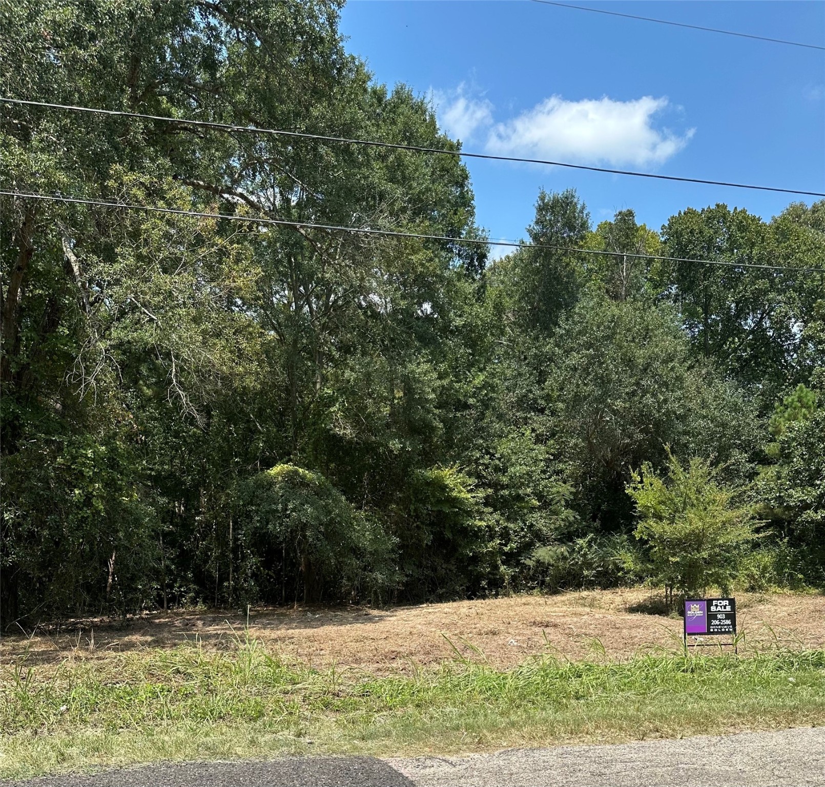 Tbd Sandbog Athens TX 75751