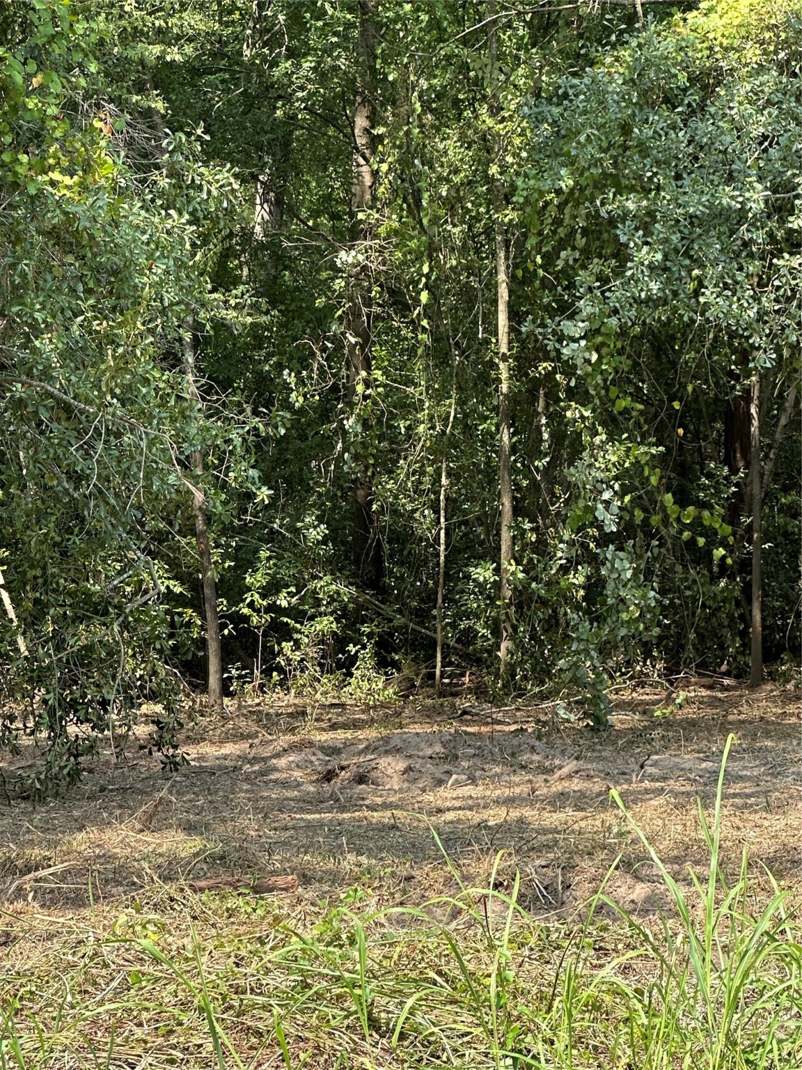 Tbd Sandbog Athens TX 75751