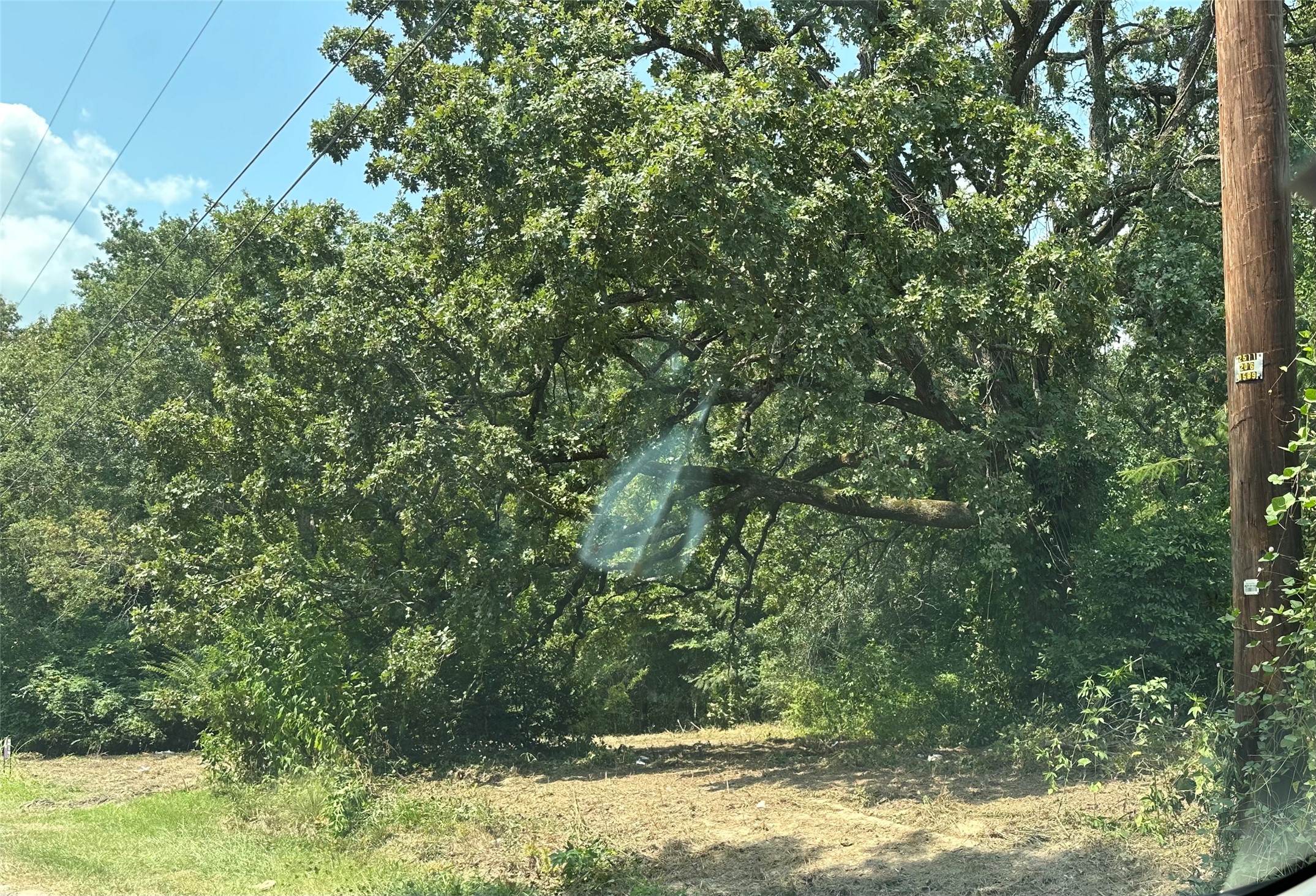 Tbd Sandbog Athens TX 75751