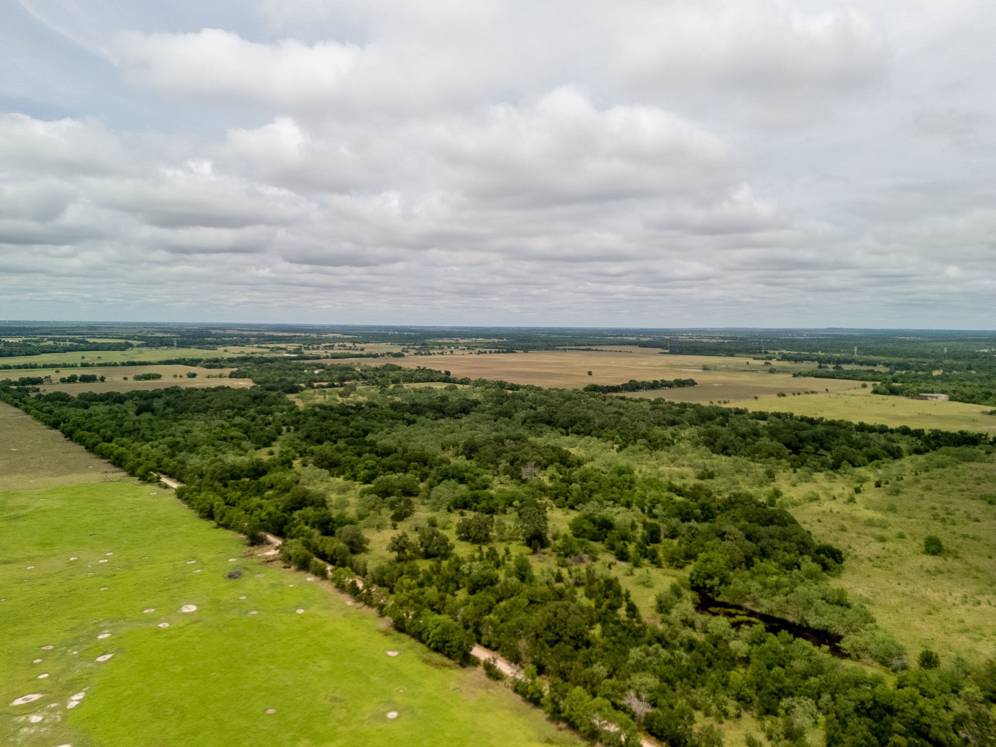 Tbd 20 Acres County Road 159 Riesel TX 76682