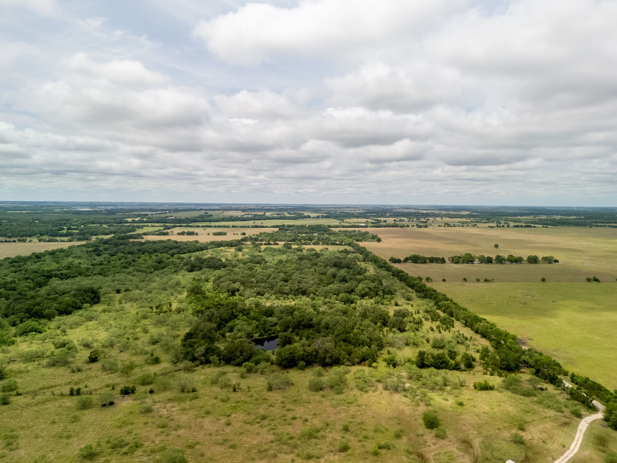 Tbd 20 Acres County Road 159 Riesel TX 76682