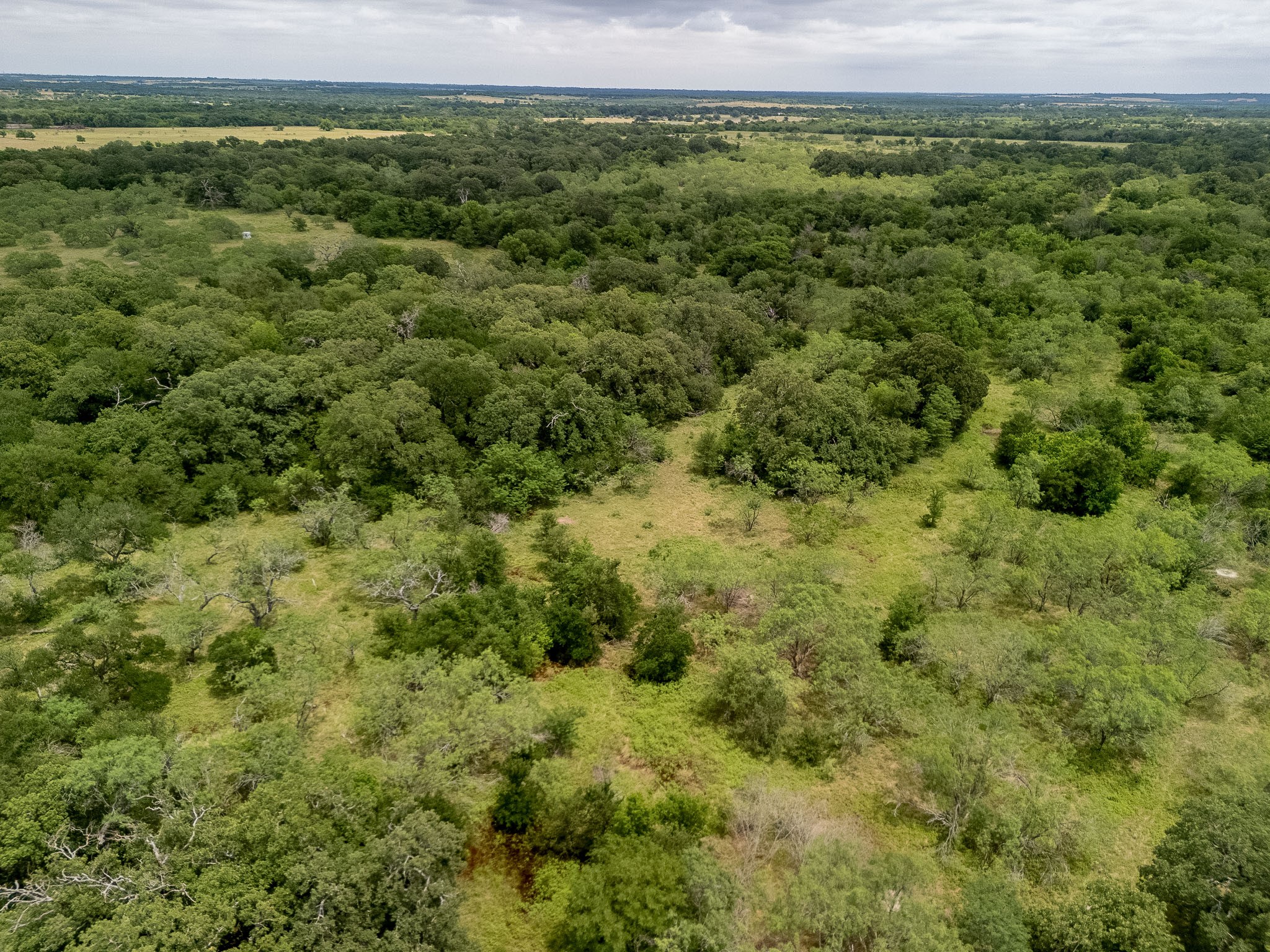 Tbd 20 Acres County Road 159 Riesel TX 76682