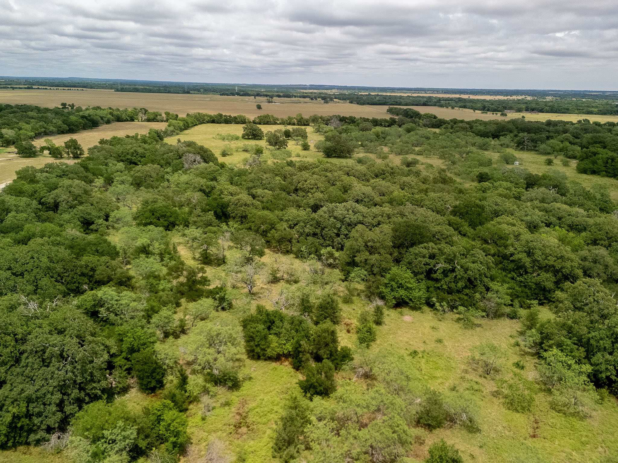Tbd 20 Acres County Road 159 Riesel TX 76682