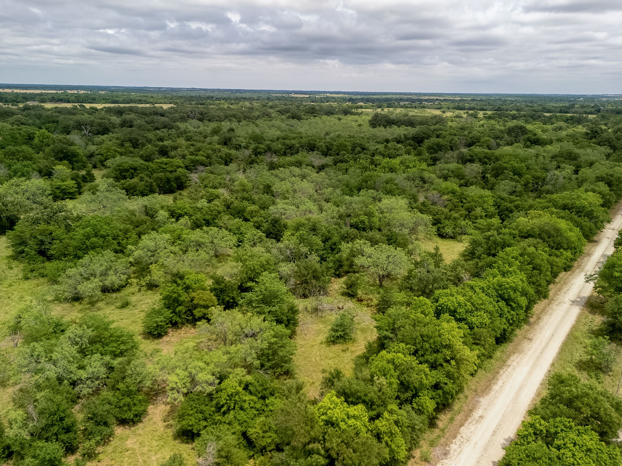 Tbd 20 Acres County Road 159 Riesel TX 76682