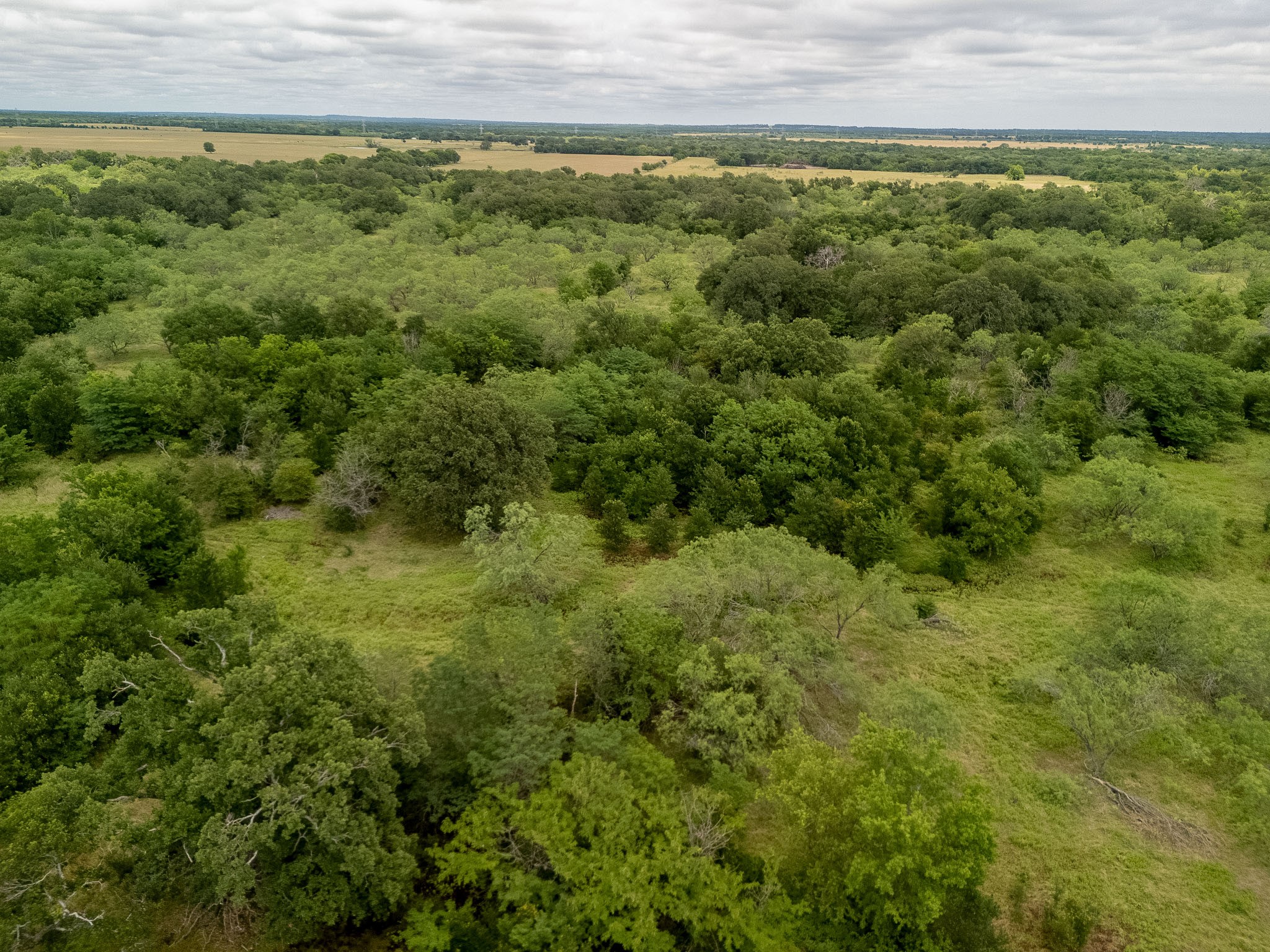 Tbd 20 Acres County Road 159 Riesel TX 76682