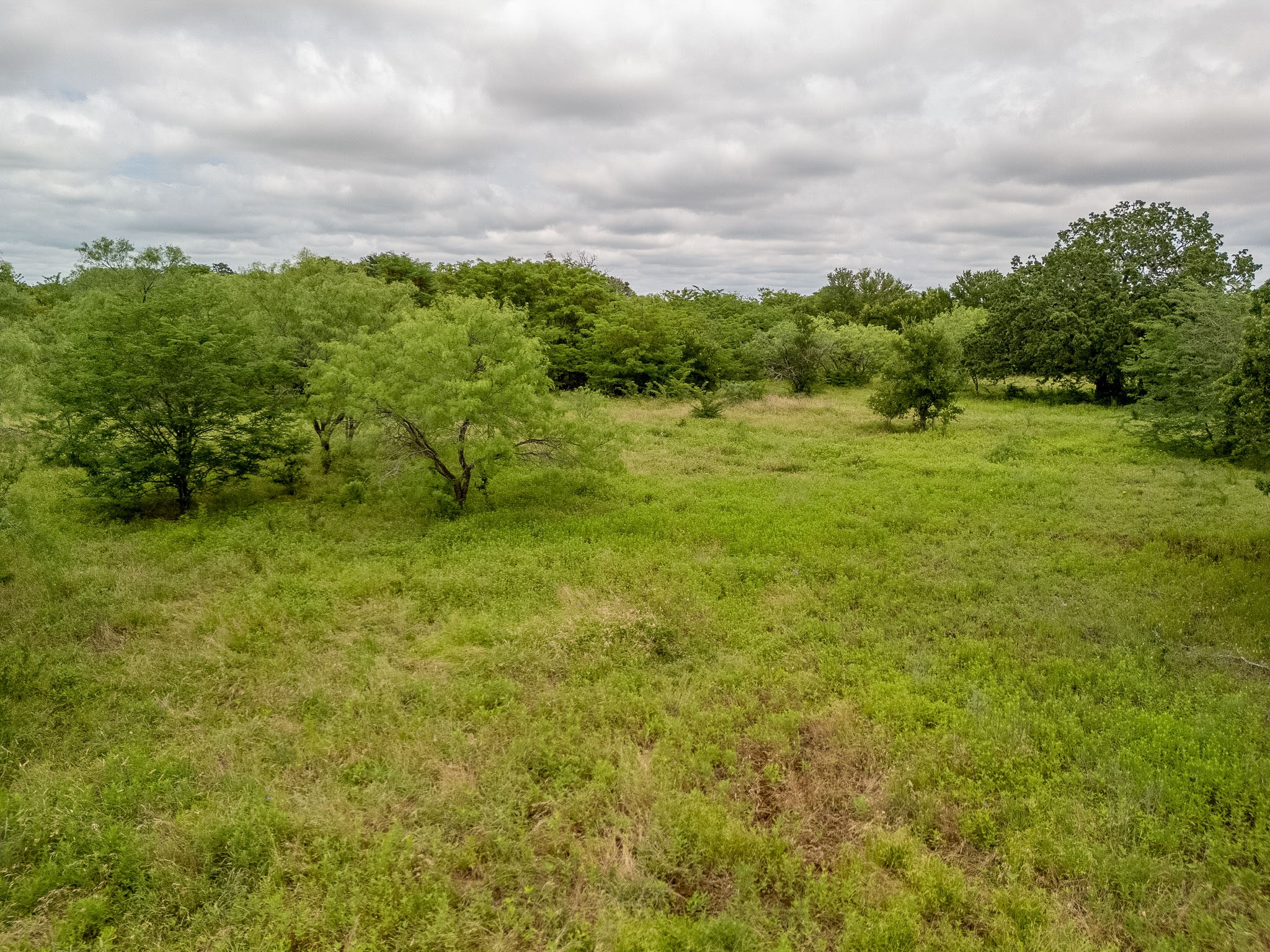 Tbd 20 Acres County Road 159 Riesel TX 76682