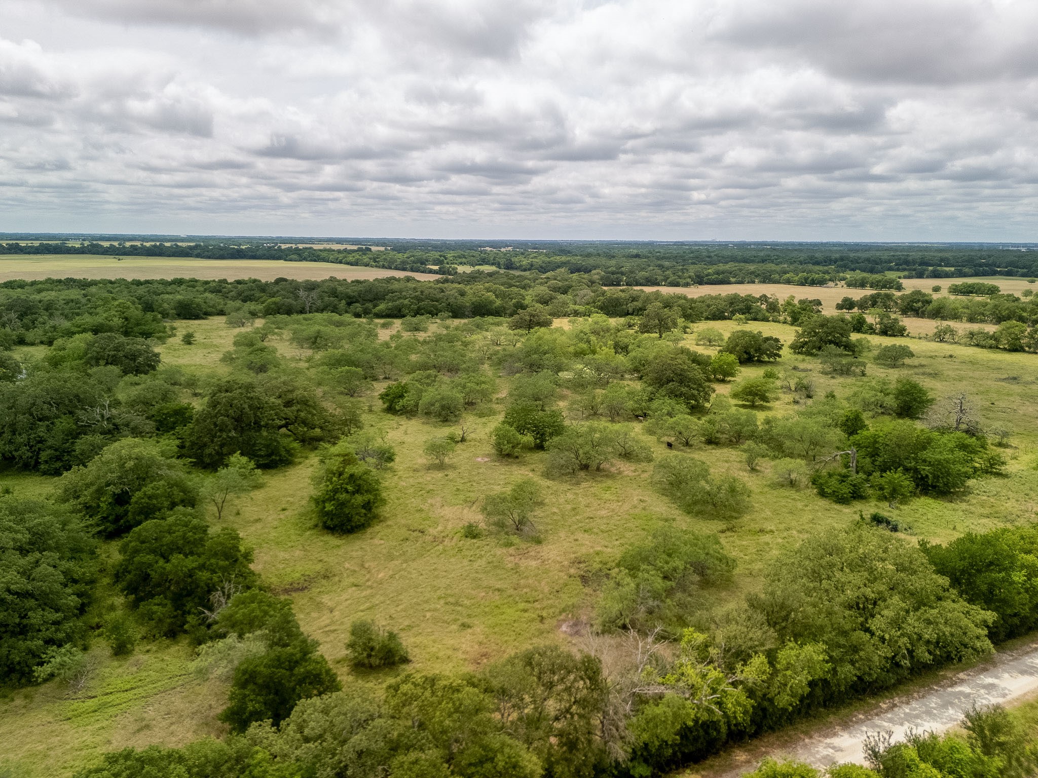 Tbd 20 Acres County Road 159 Riesel TX 76682